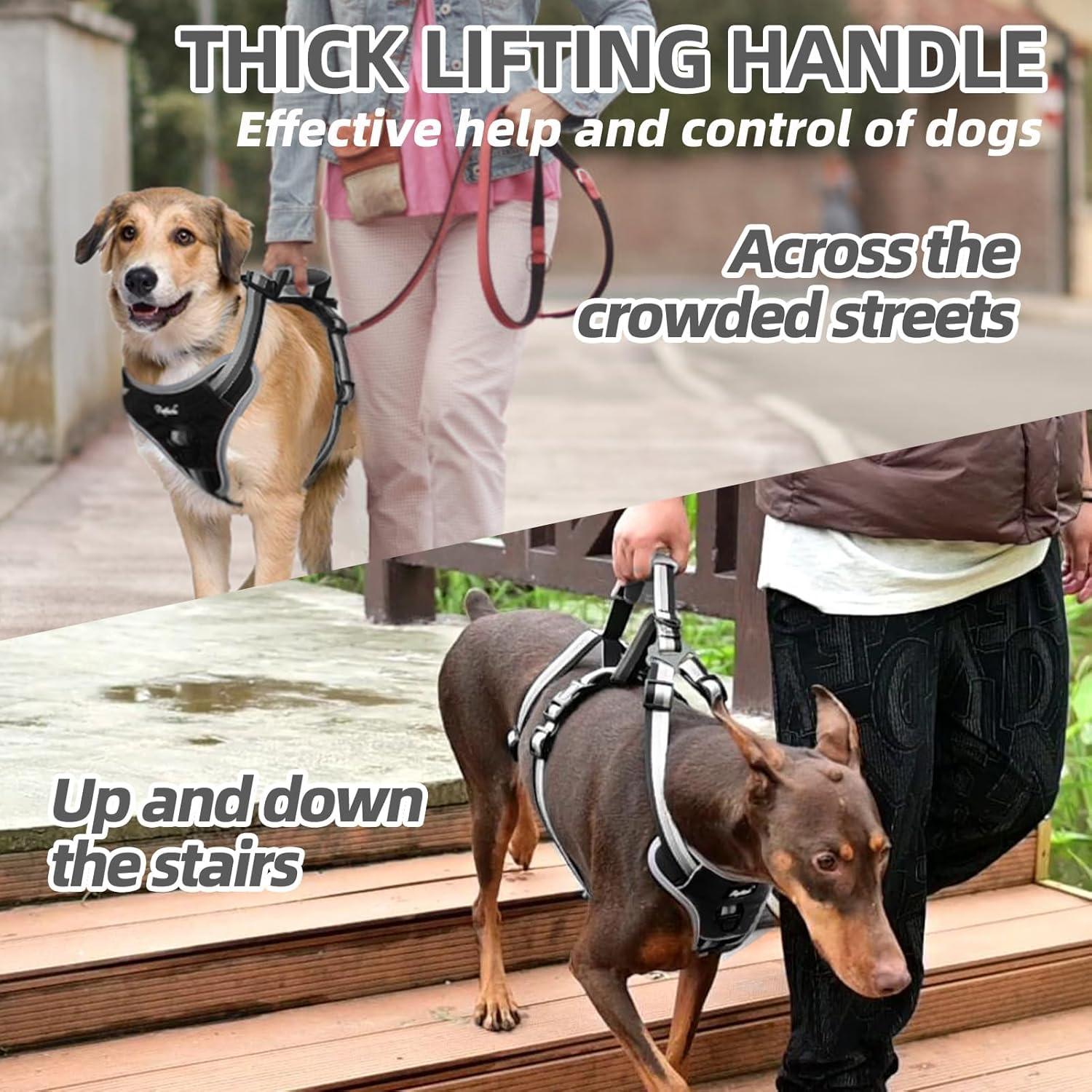 Arnés para Perros PUPTECK Grande Negro A Prueba de Escape