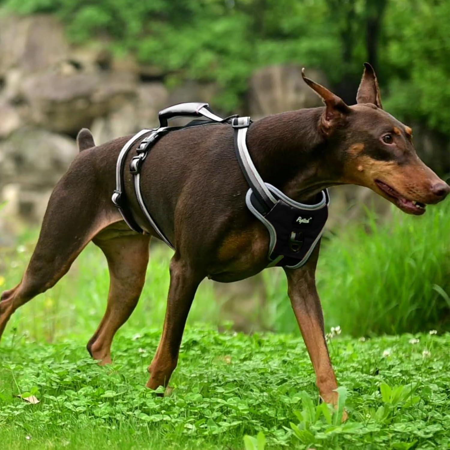 Arnés para Perros PUPTECK Grande Negro A Prueba de Escape