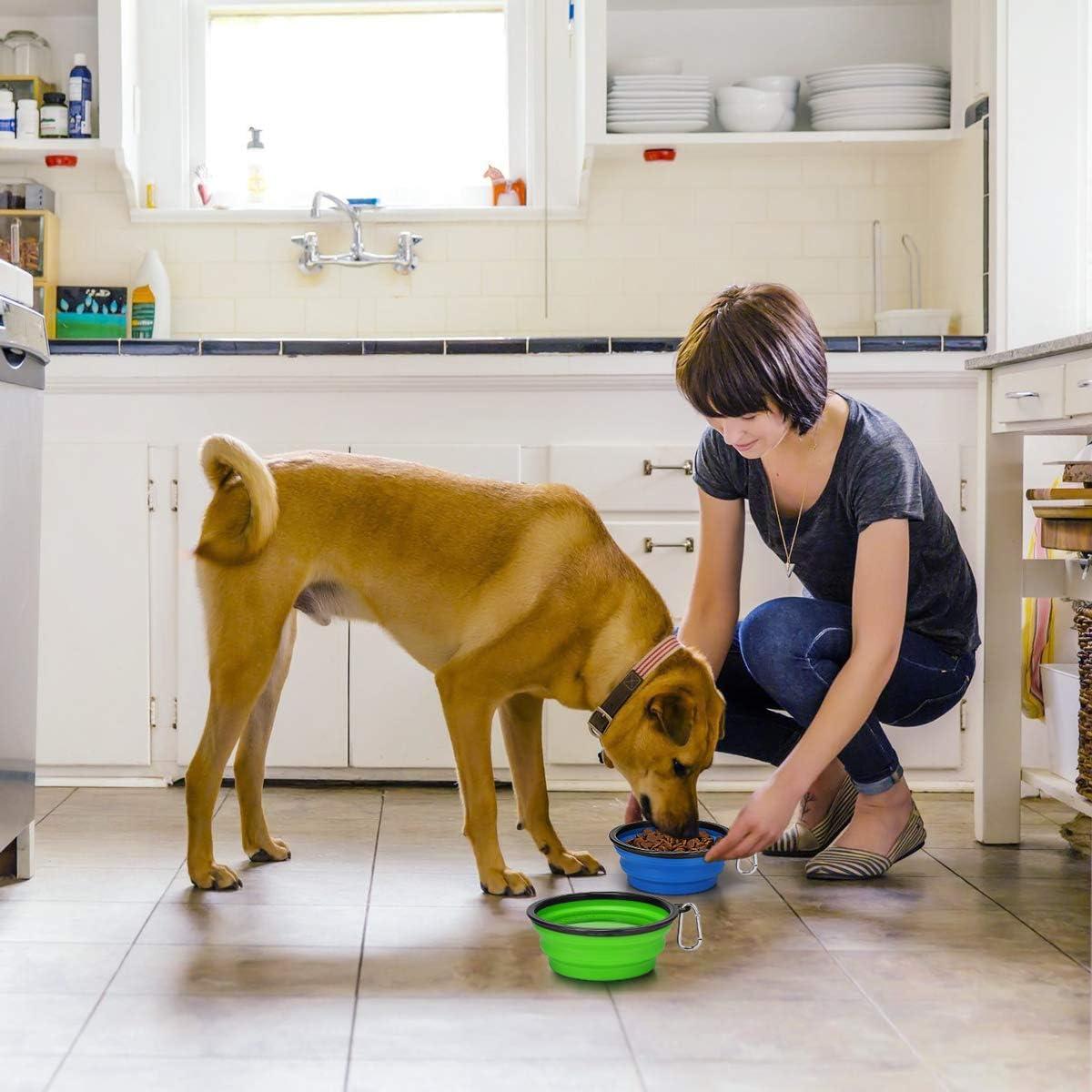 Cuencos Plegables para Perros Kytely 1.01L 2 Pack Azul Verde