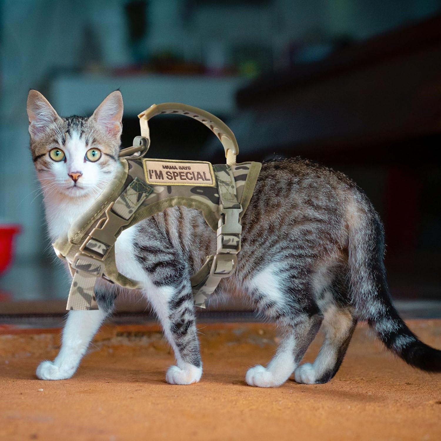 Arnés Táctico Ajustable AIWAI para Gato Grande Camuflaje