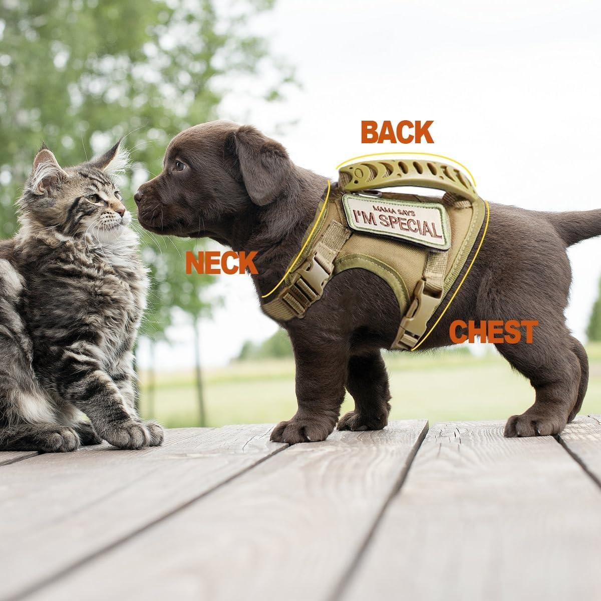 Arnés Táctico Ajustable AIWAI para Gato Grande Camuflaje