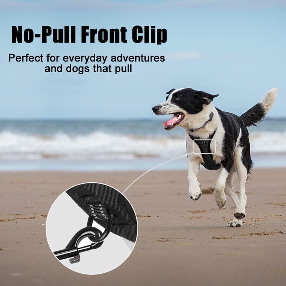 Arnés para Perros PoyPet Grande Negro Reflectante Ajustable