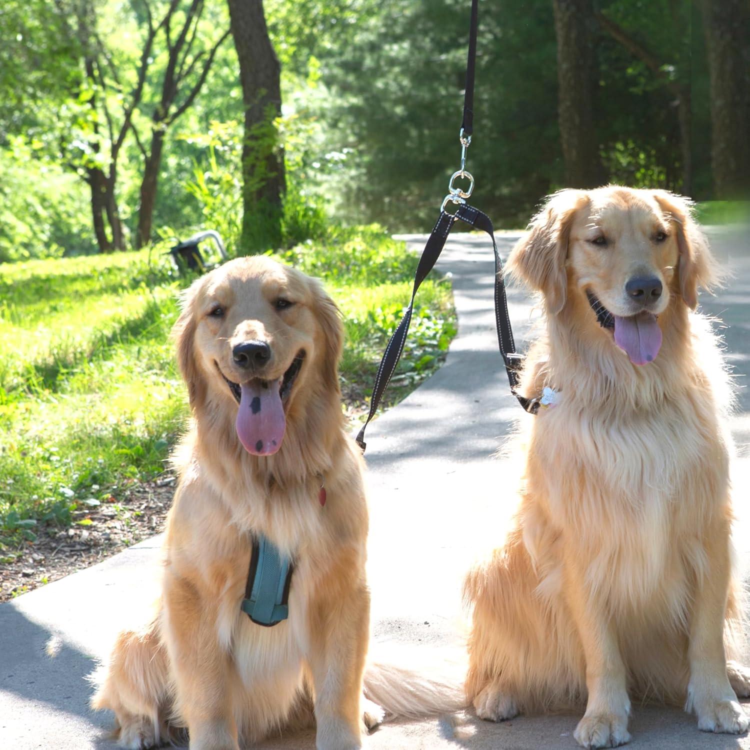 Correa Doble para 2 Perros Caldwell's Pet Supply Co.