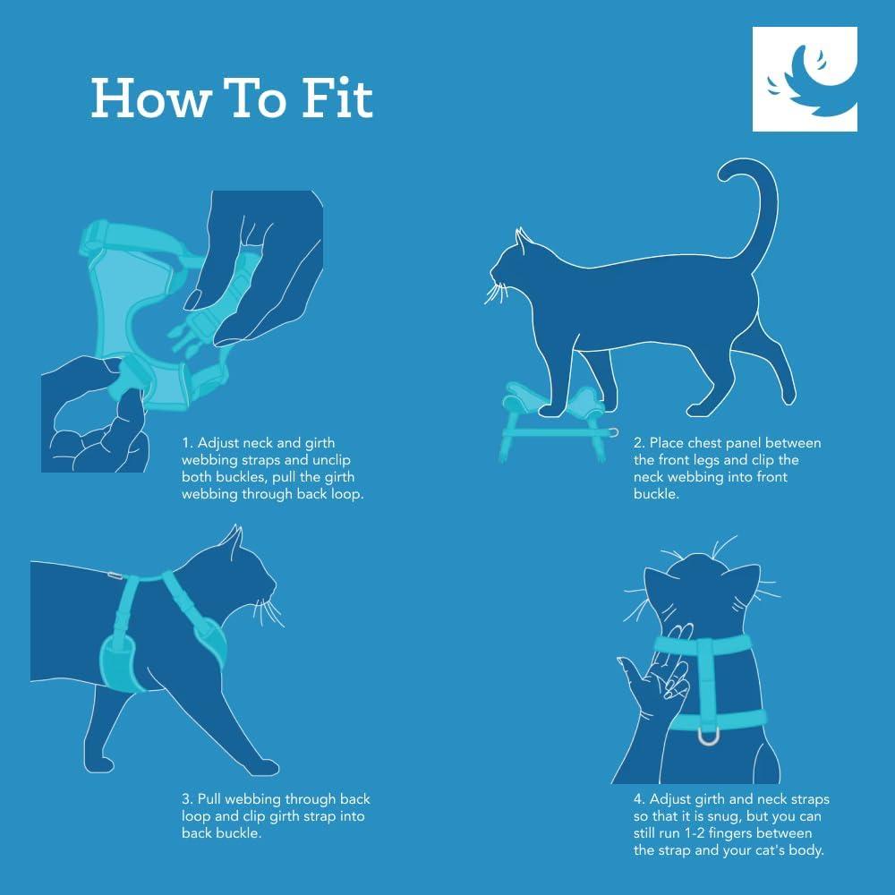 Arnés de Aventura para Gatos RCPETS Mediano Margaritas