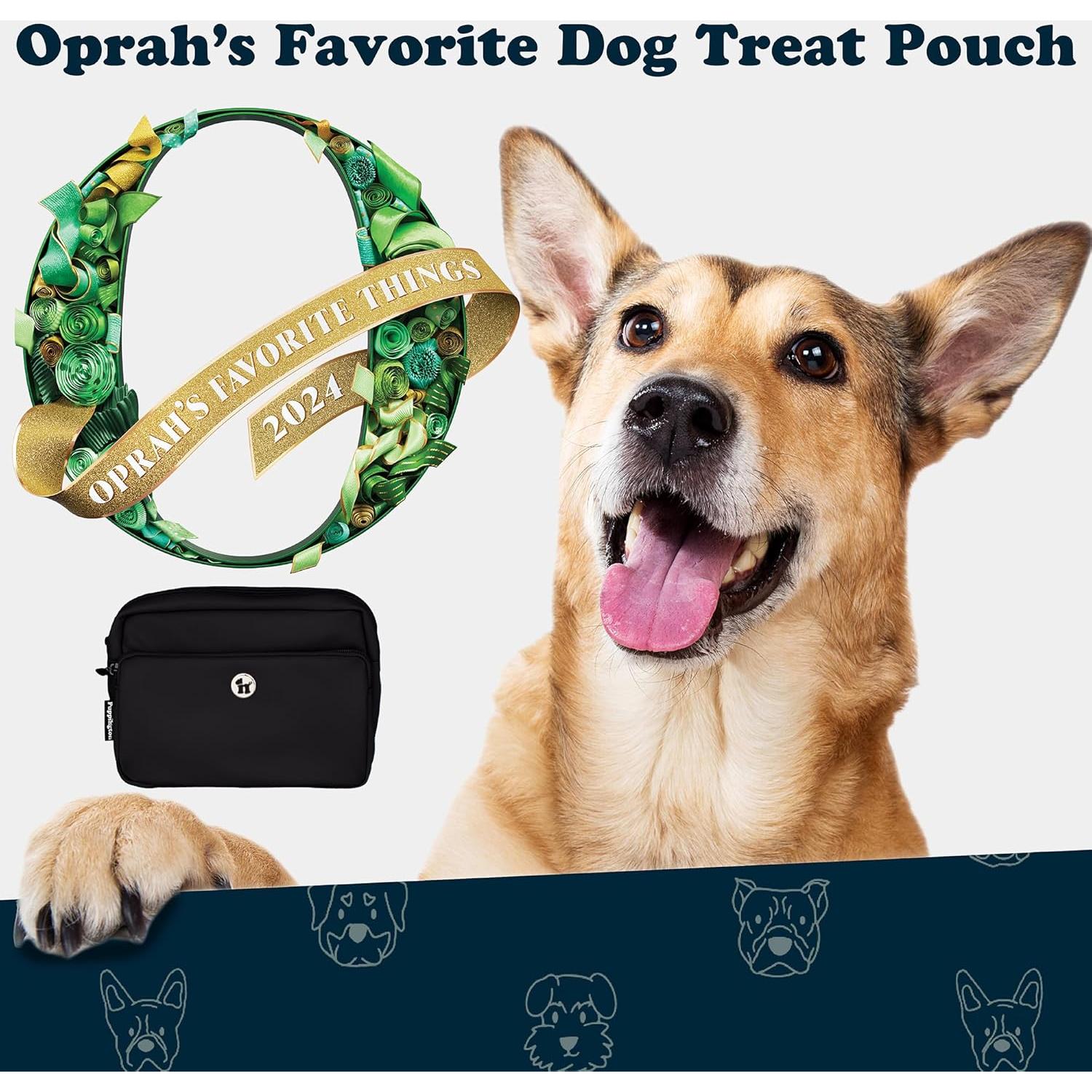 Bolsa de Paseo para Perros Puppington 3 en 1 Negro Onyx