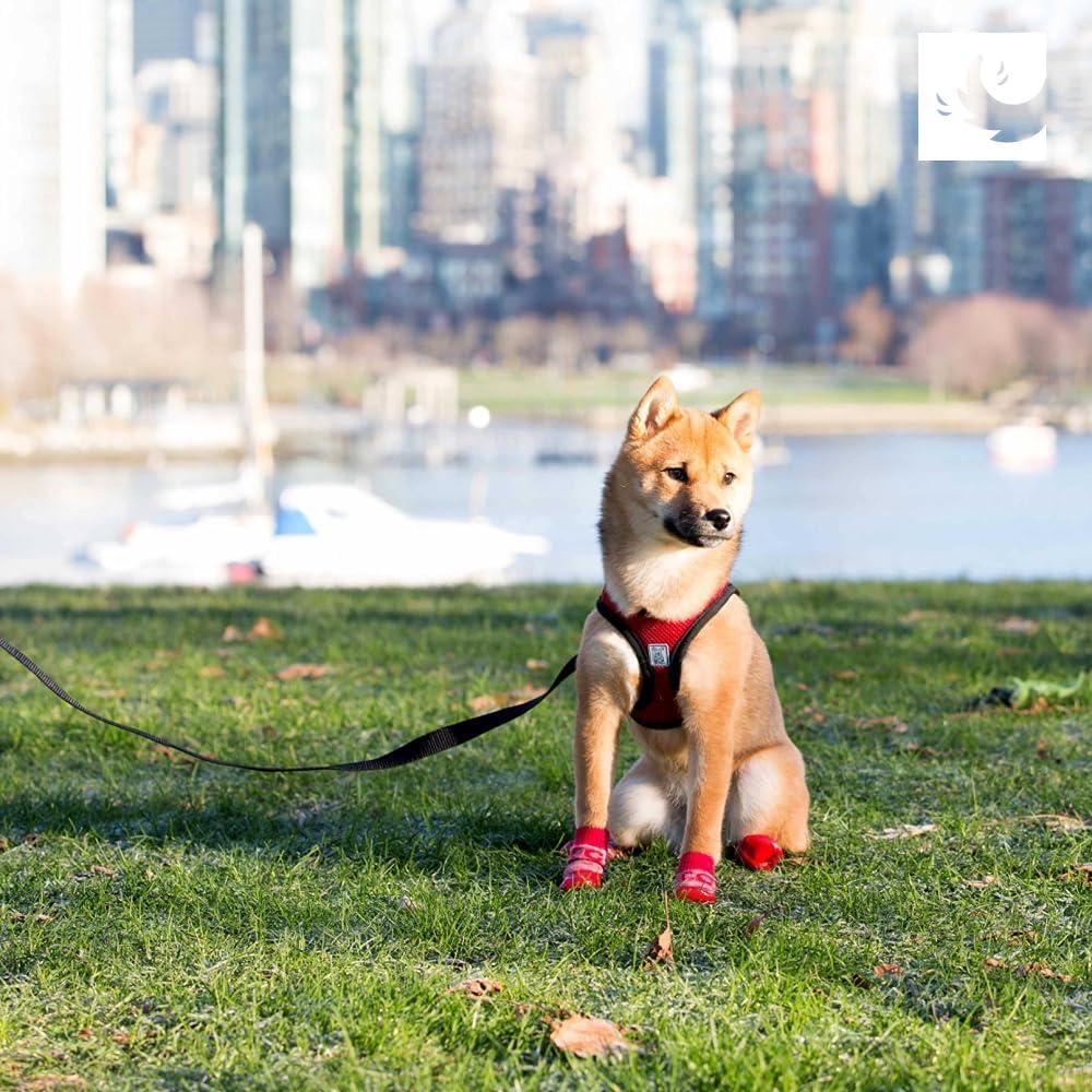 Arnés RC Pets Step In Cirque L Mulberry 24x12x5 cm