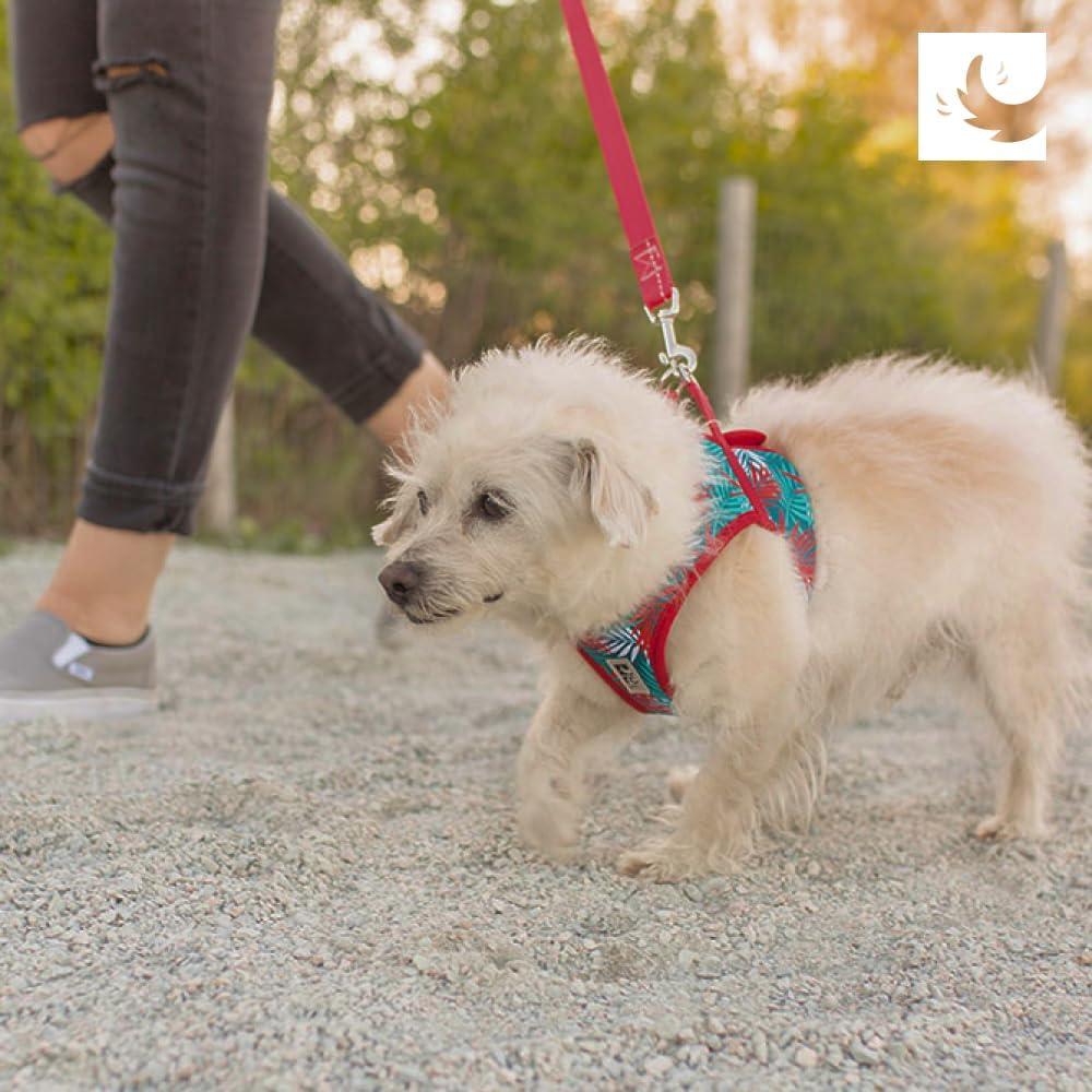 Arnés RC Pets Step In Cirque L Mulberry 24x12x5 cm