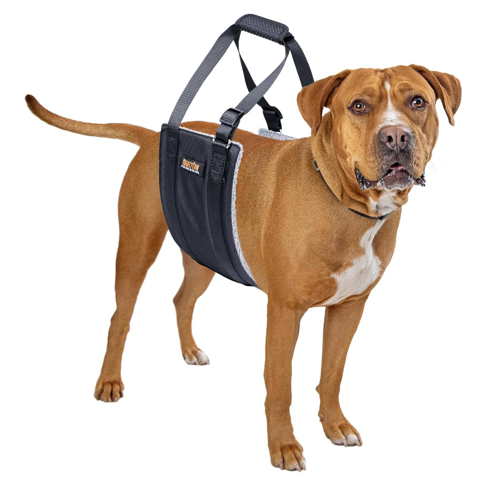 Arnés de Elevación para Perros Mighty Paw - Soporte para 0-9 kg