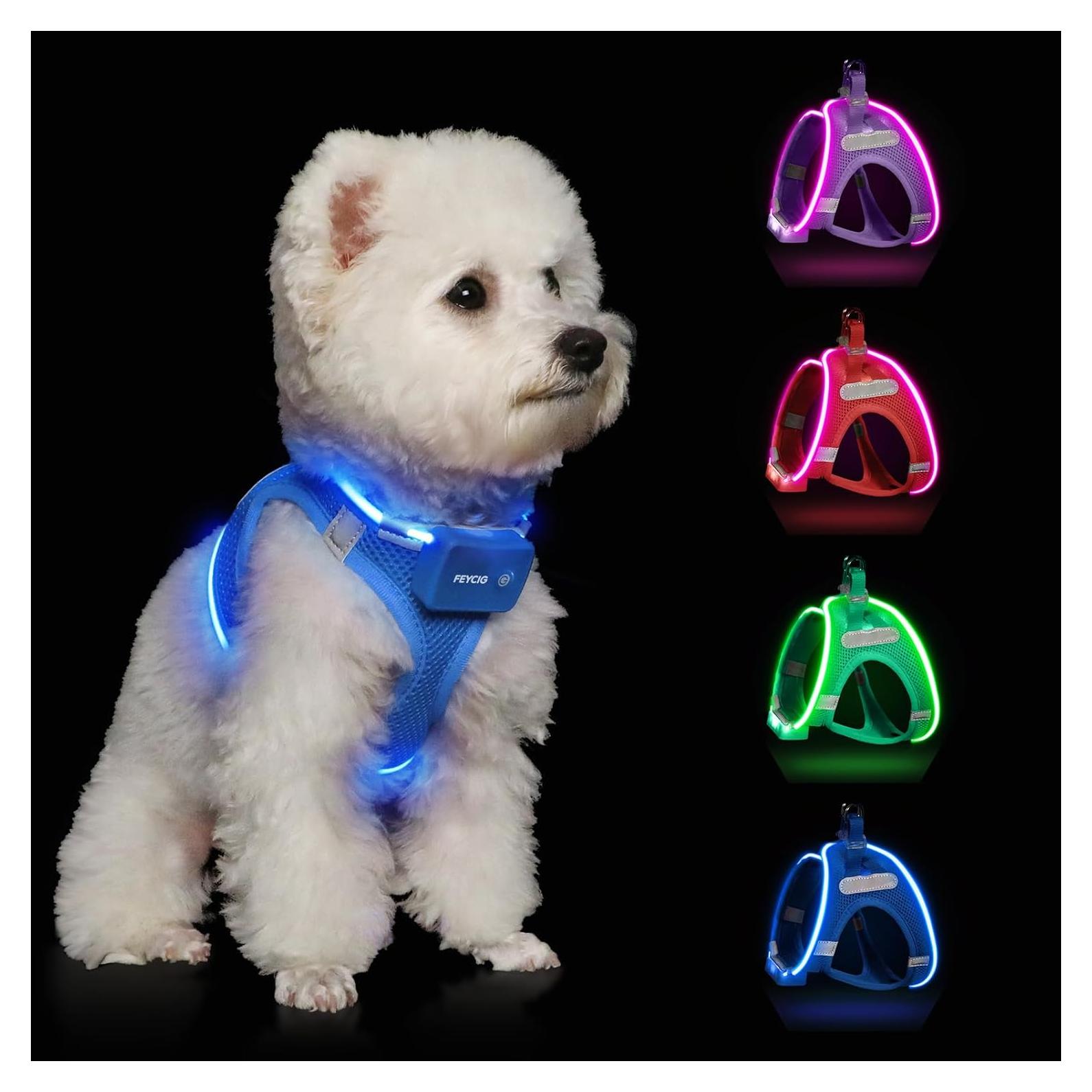 Arnés LED Recargable para Perros Feycig Azul Cielo Tamaño S