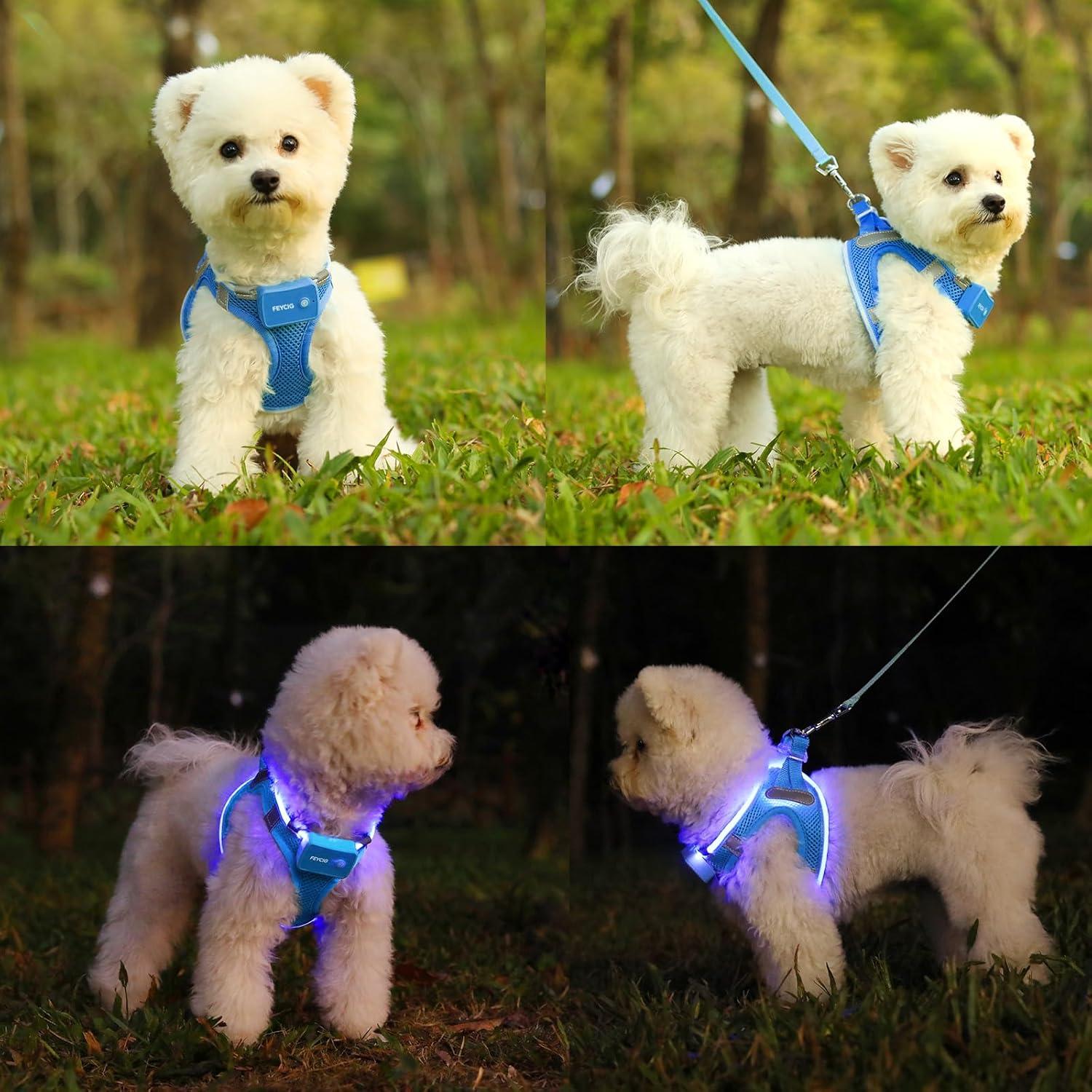 Arnés LED Recargable para Perros Feycig Azul Cielo Tamaño S