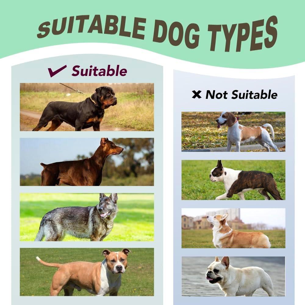 Arnés TSPRO Premium Ajustable para Perros Grandes Verde L