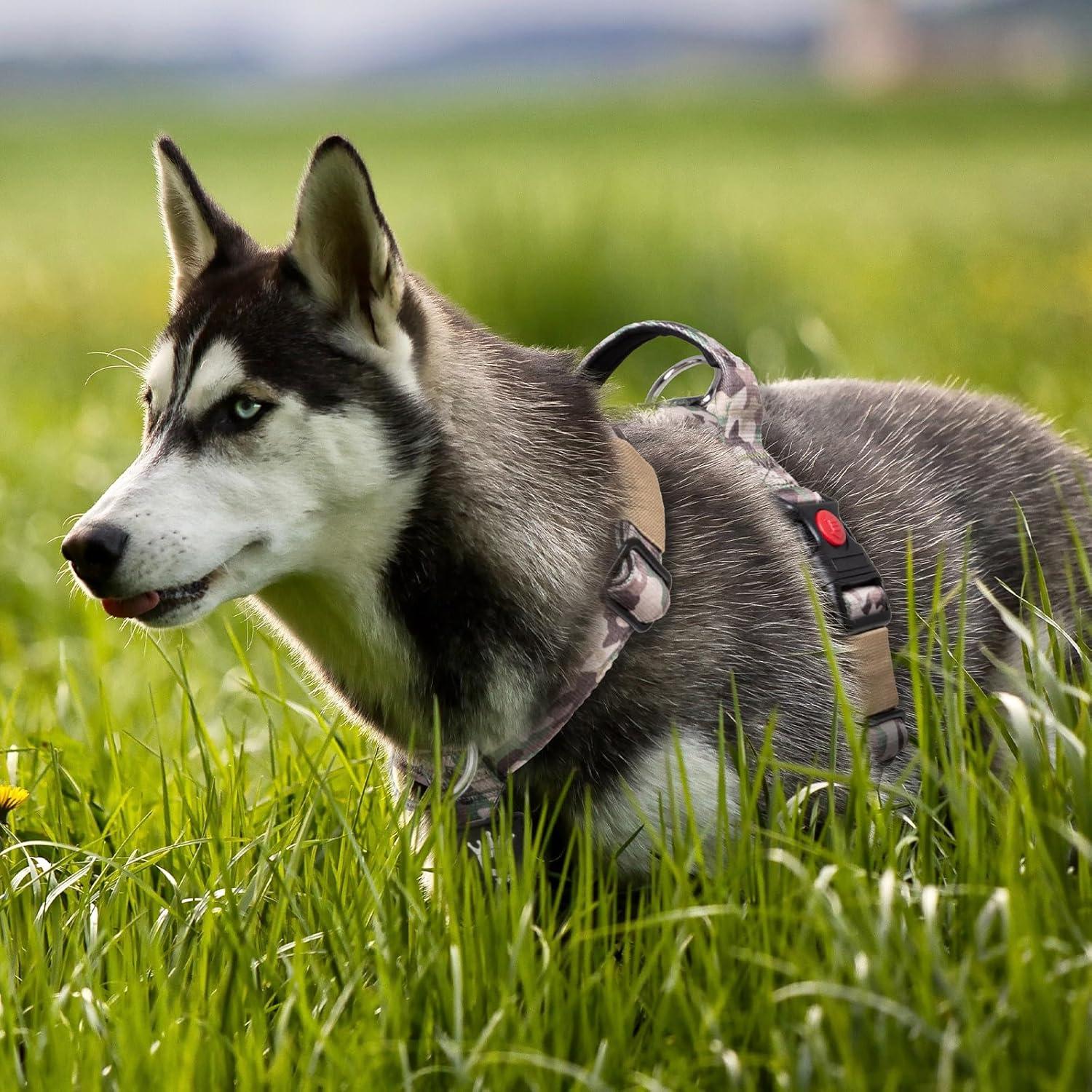 Arnés TSPRO Premium Ajustable para Perros Grandes Verde L