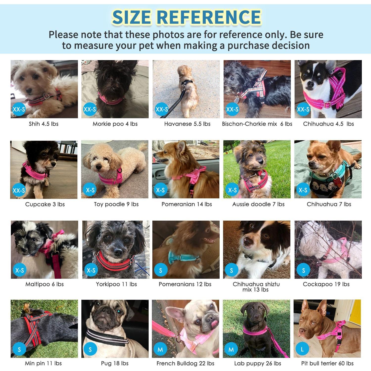 Arnés Sin Tirones SlowTon para Perros Pequeños Ajustable