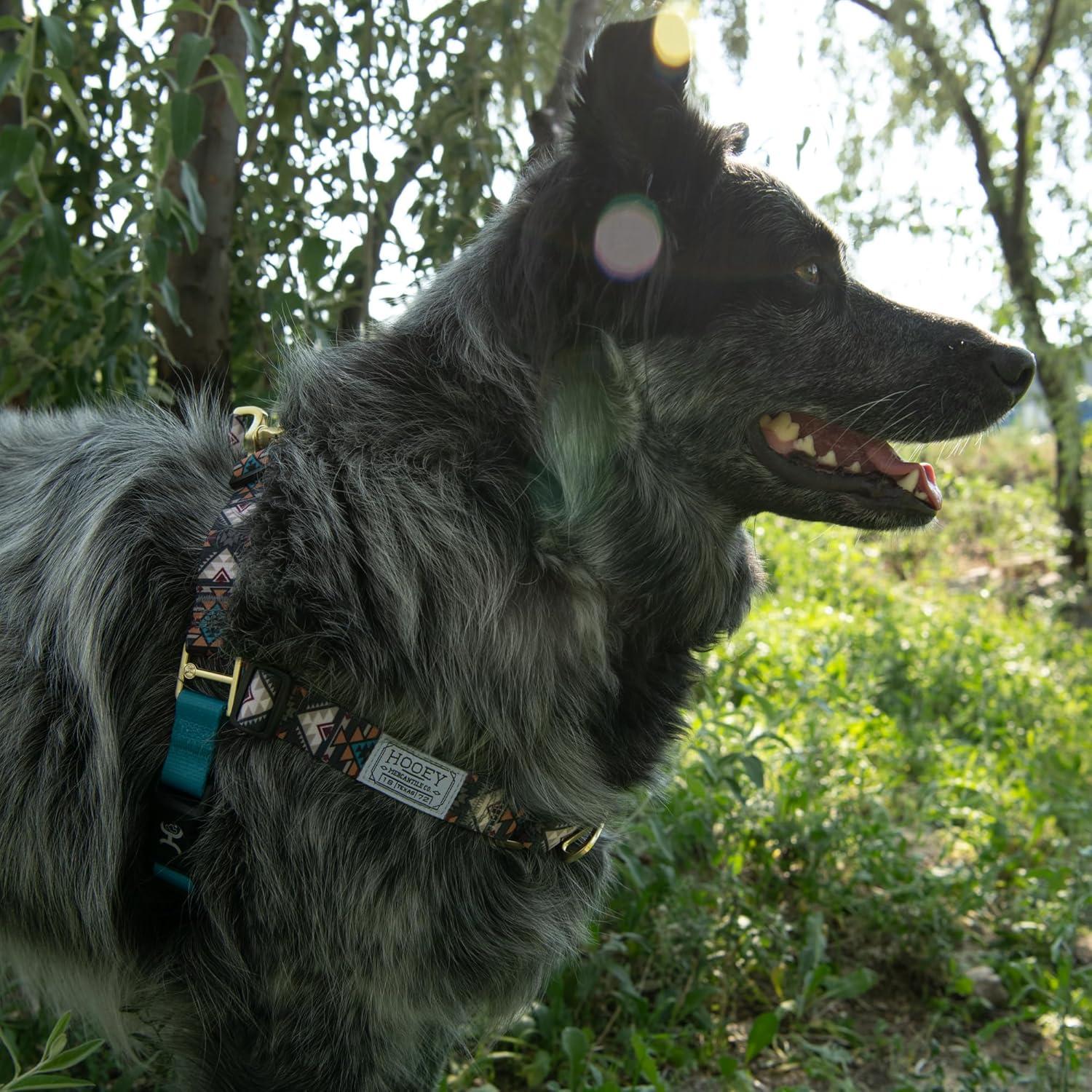 Arnés para Perros Hooey Nomad Walking Ajustable Sin Tirones