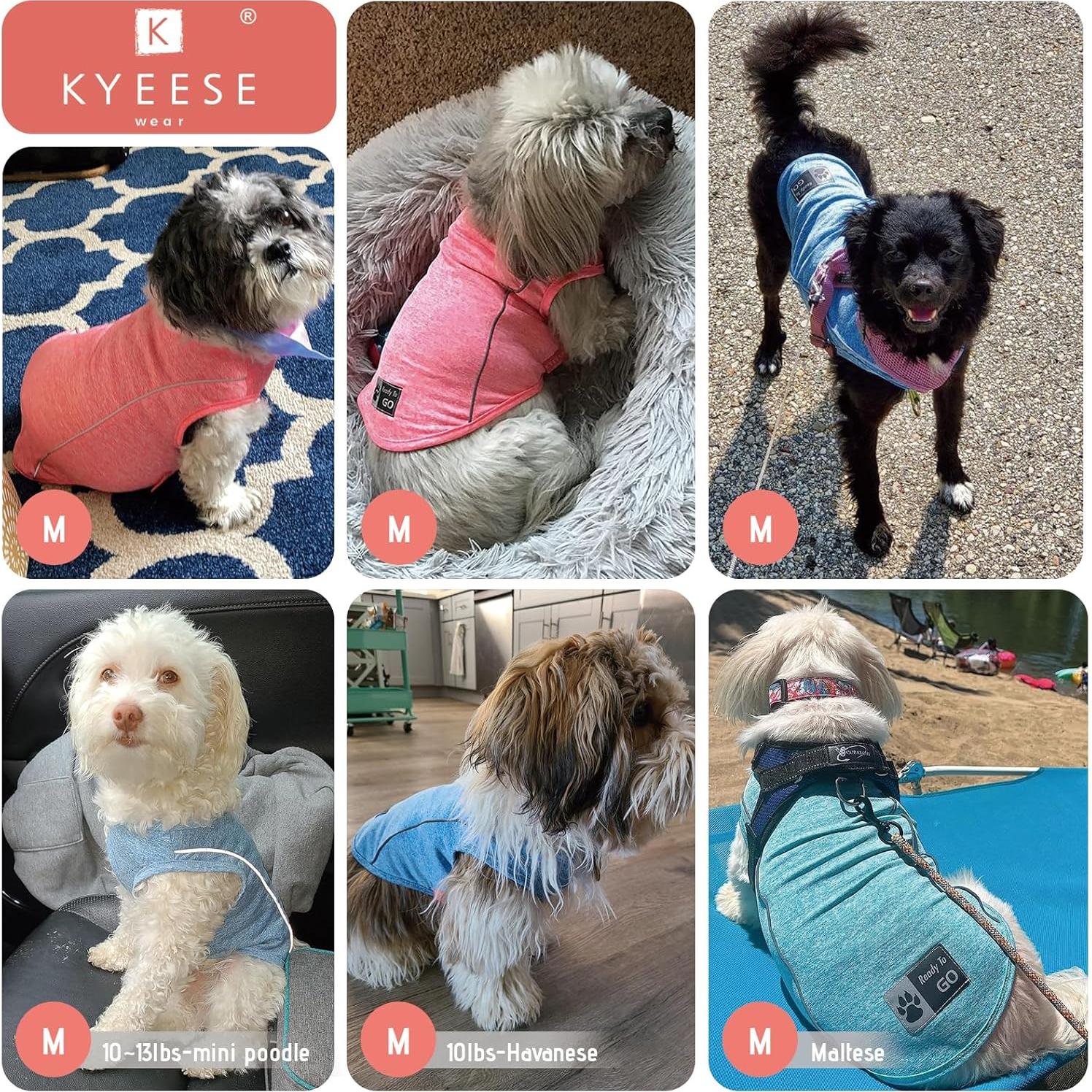 Camisa para Perros KYEESE Azul Lago M Transpirable Reflectante