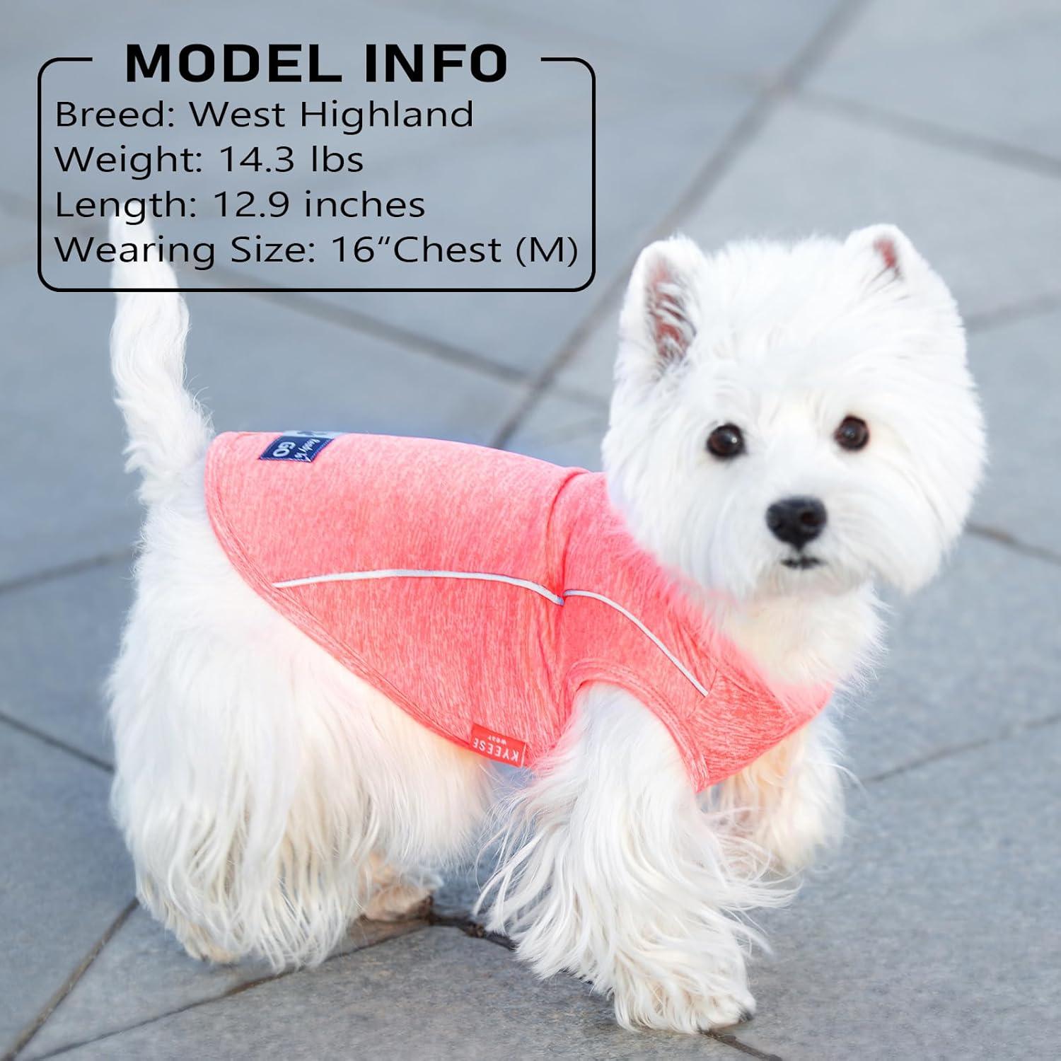 Camisa para Perros KYEESE Azul Lago M Transpirable Reflectante