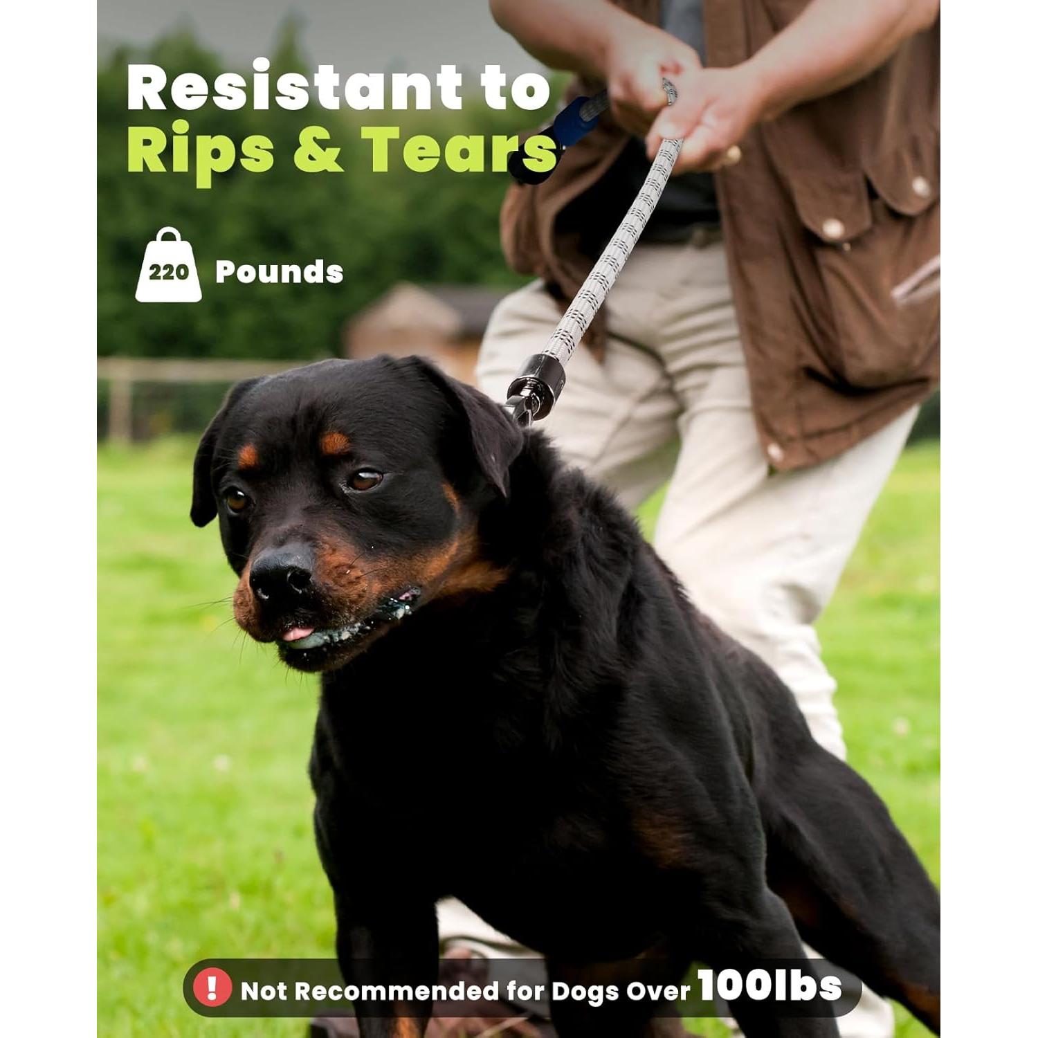 Correa LED para Perros XEUCH 5 Pies Recargable 13 Modos