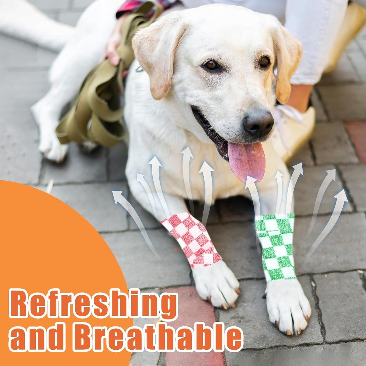 6 Rollos Vendaje Veterinario Kreyfer 5,08 cm x 4,57 m