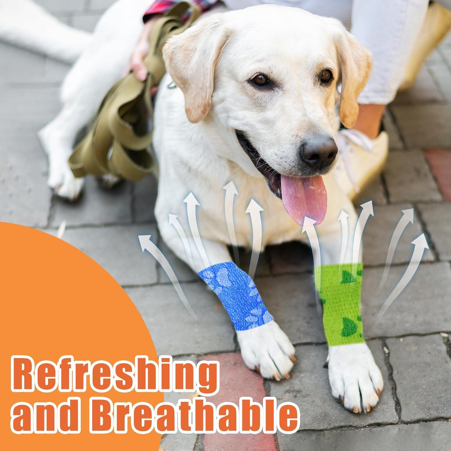 6 Rollos Vendaje Veterinario Kreyfer 5 m x 5 cm Autoadhesivo