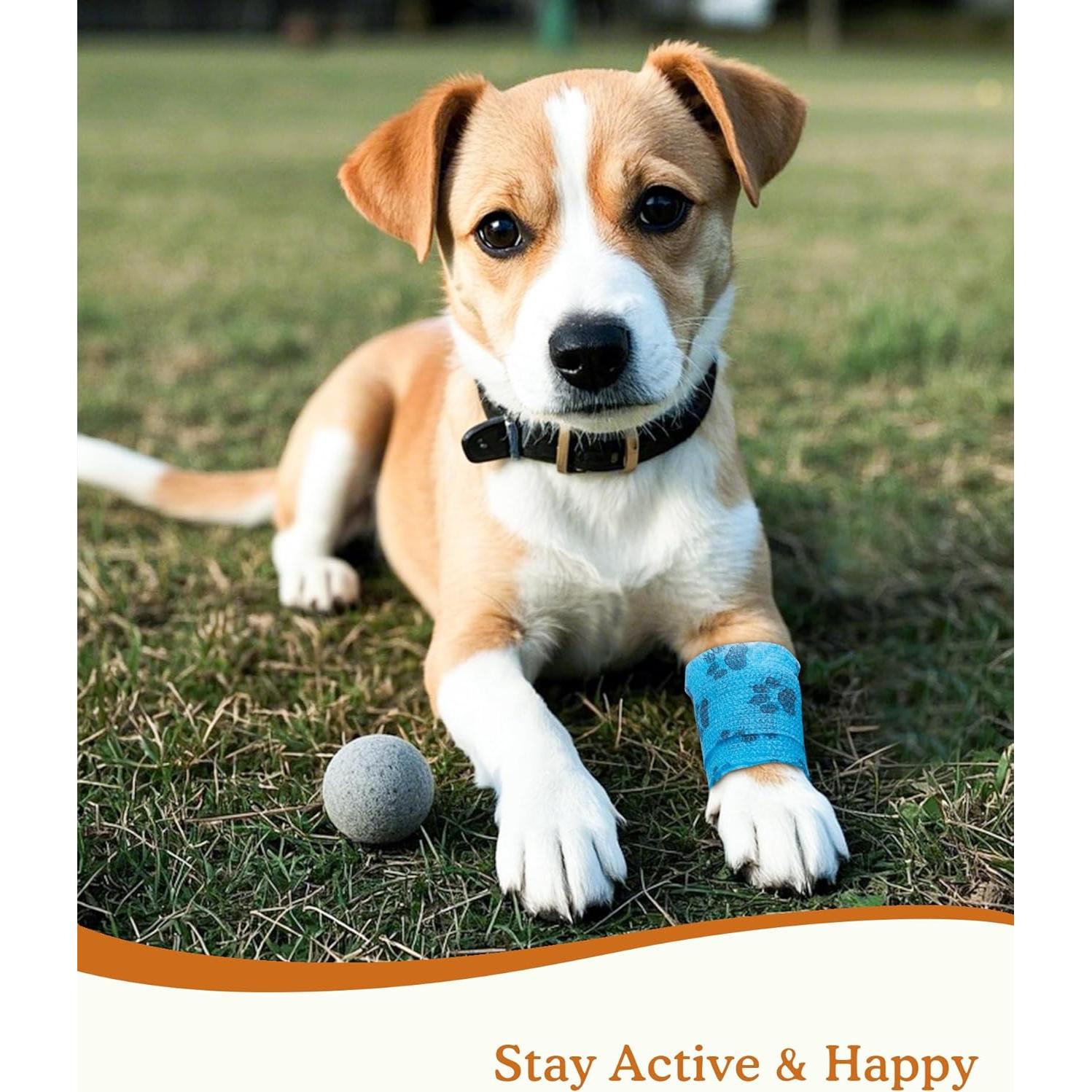 Venda Autoadhesiva Veterinaria FriPuP 5,08 cm 8 Rollos Colores