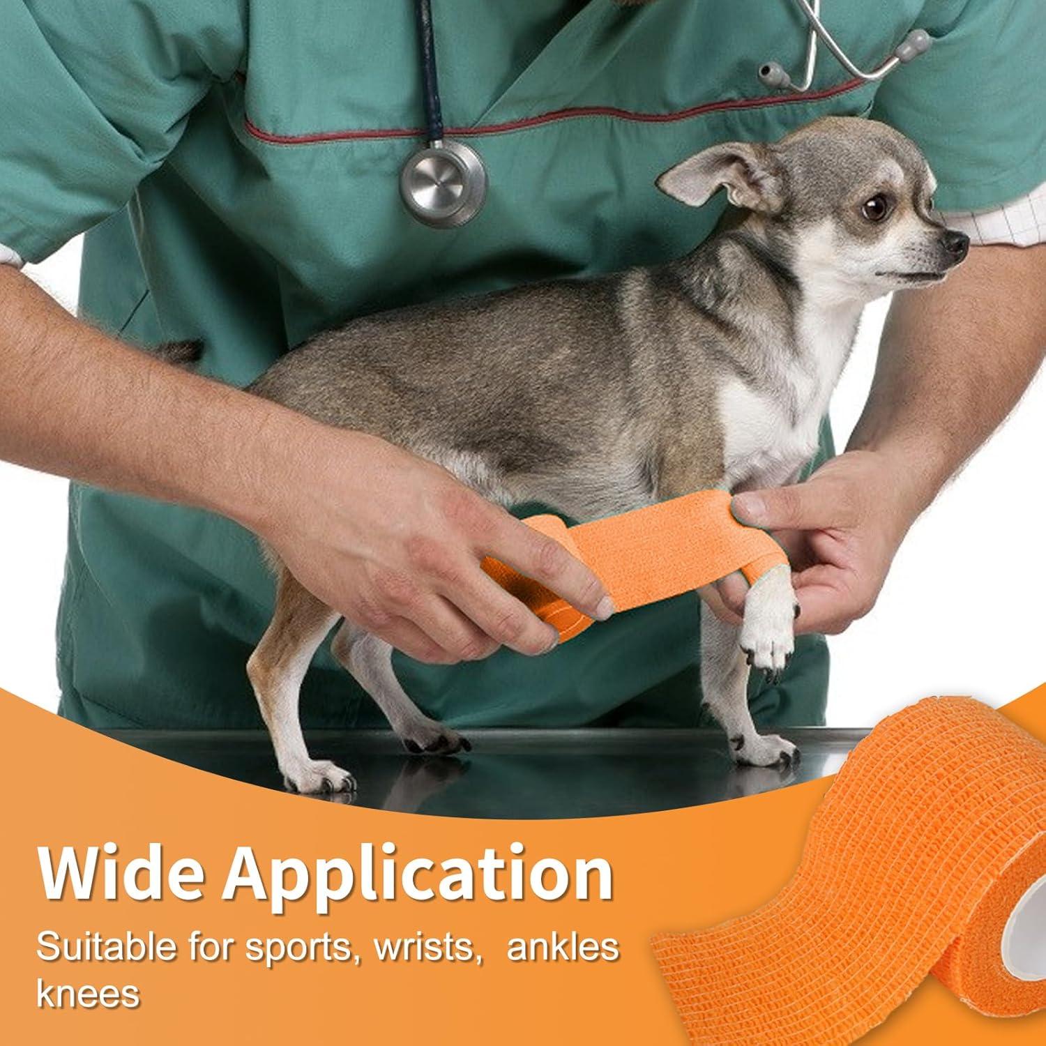 Vendas Autoadhesivas Veterinarias x9 para Mascotas 5cm