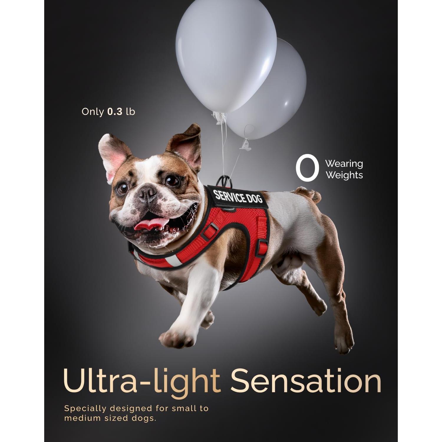 Chaleco para Perros de Servicio FAYOGOO Rojo Talla S