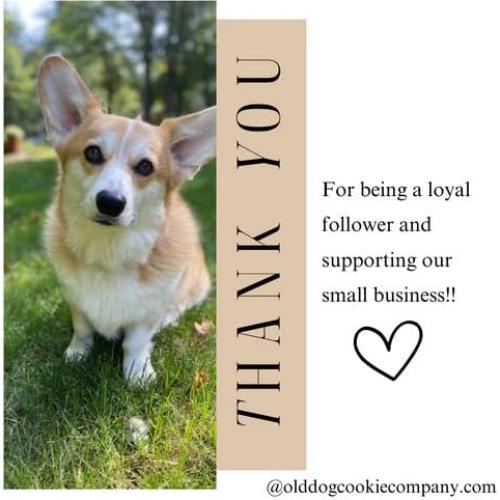 Galletas para Perros TINY Diabéticas 225 g 100% Naturales