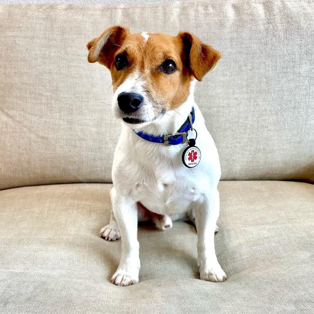 Etiqueta de Identificación de Perro LYP Silicona Hueso 3,05 cm