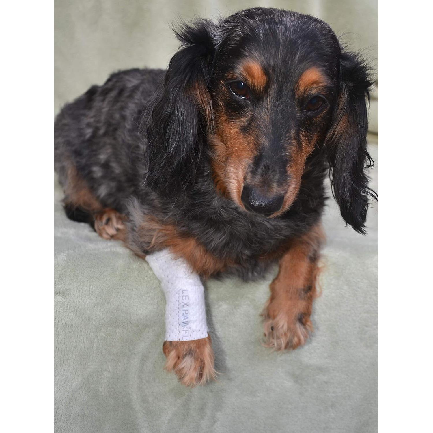 Funda Protectora Tubular PawFlex Pequeña 12pk para Mascotas