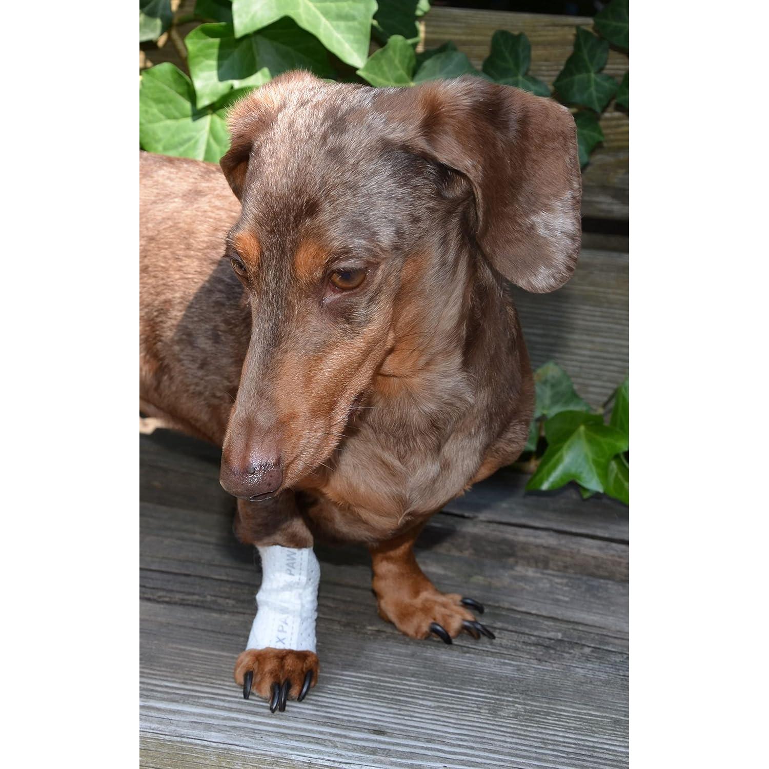 Funda Protectora Tubular PawFlex Pequeña 12pk para Mascotas