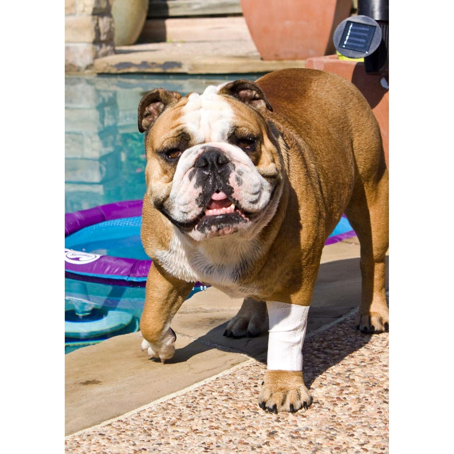 Funda Protectora Tubular PawFlex Pequeña 12pk para Mascotas