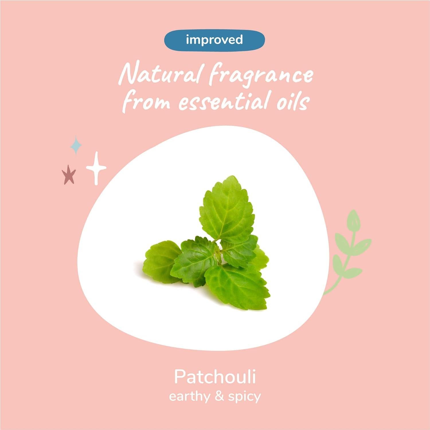 Champú Natural para Perros kin+kind 355 ml Carbón-Pachulí