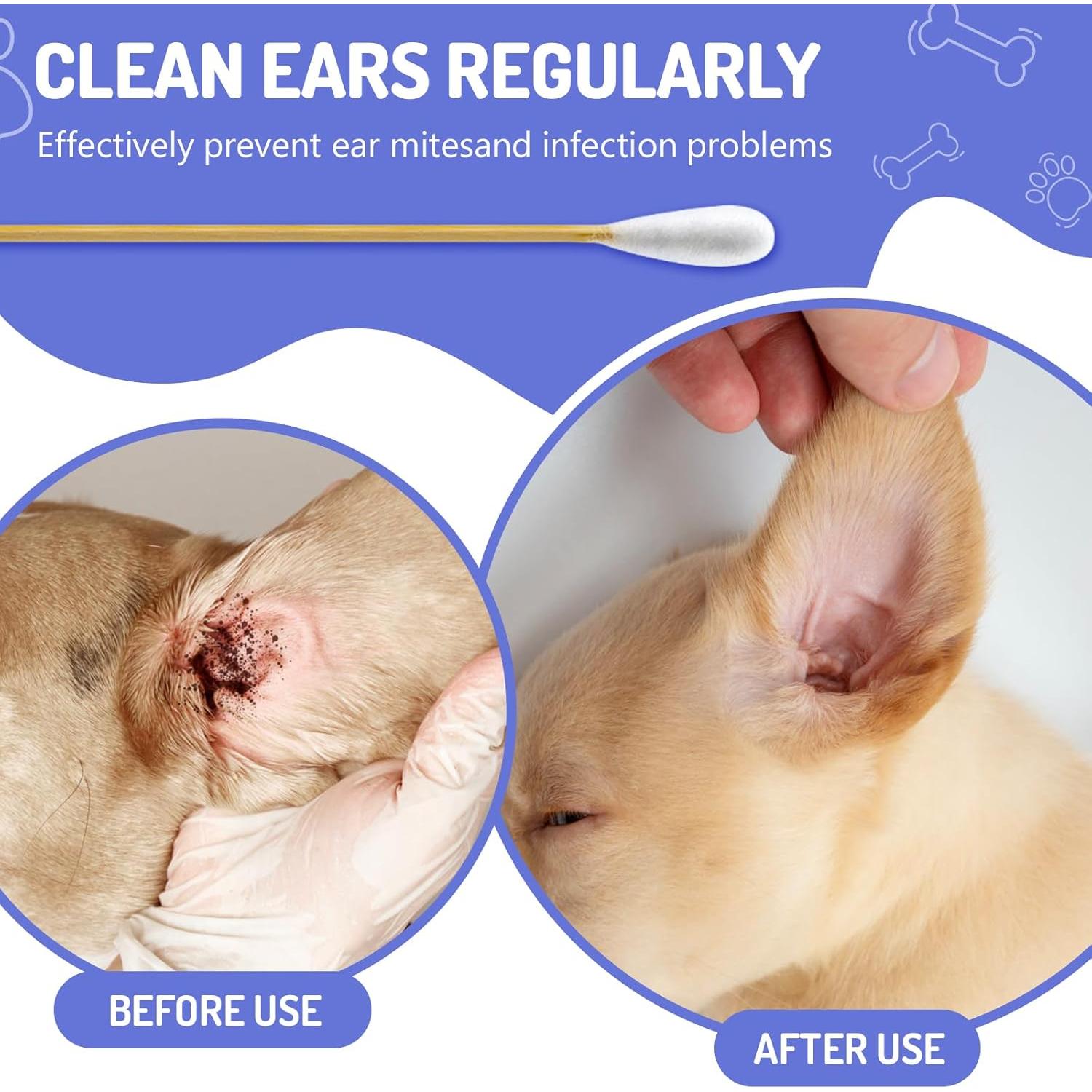 200 Bastones de Algodón Grandes para Oídos de Perro XTM