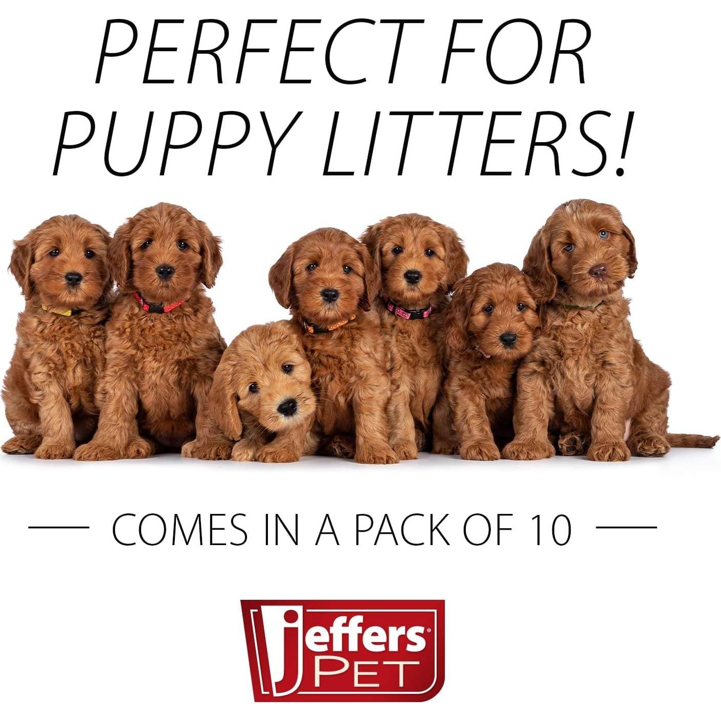 Registros de Salud Canina Jeffers - Paquete de 10, Organizador Médico