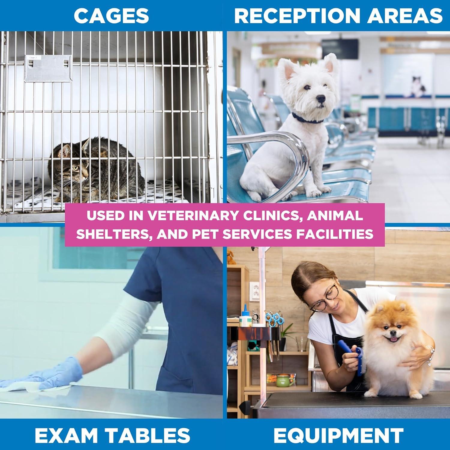 Toallitas Desinfectantes REScue para Mascotas - 160 Unidades