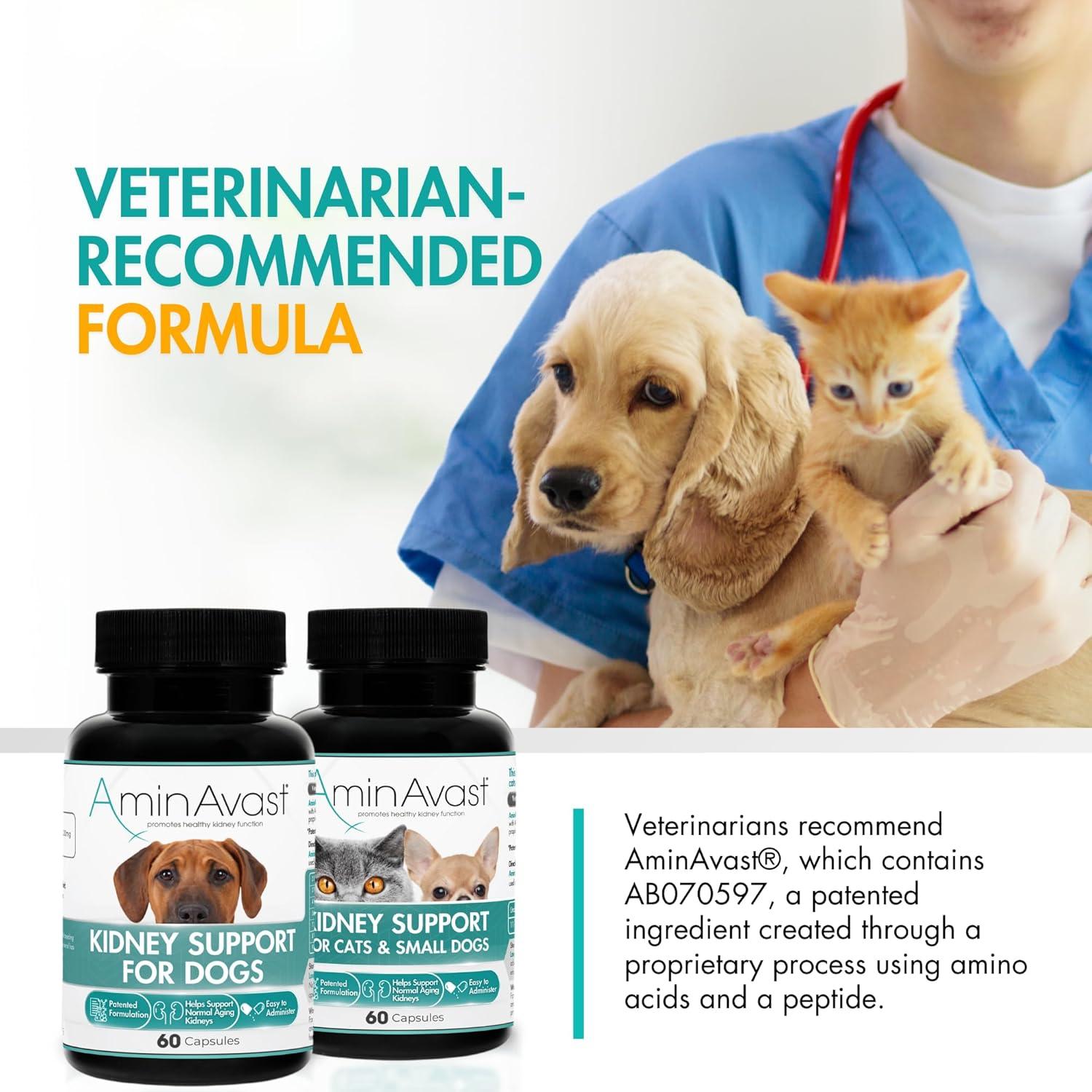 AminAvast Suplemento para Riñones Perros y Gatos 300mg 60 Cápsulas