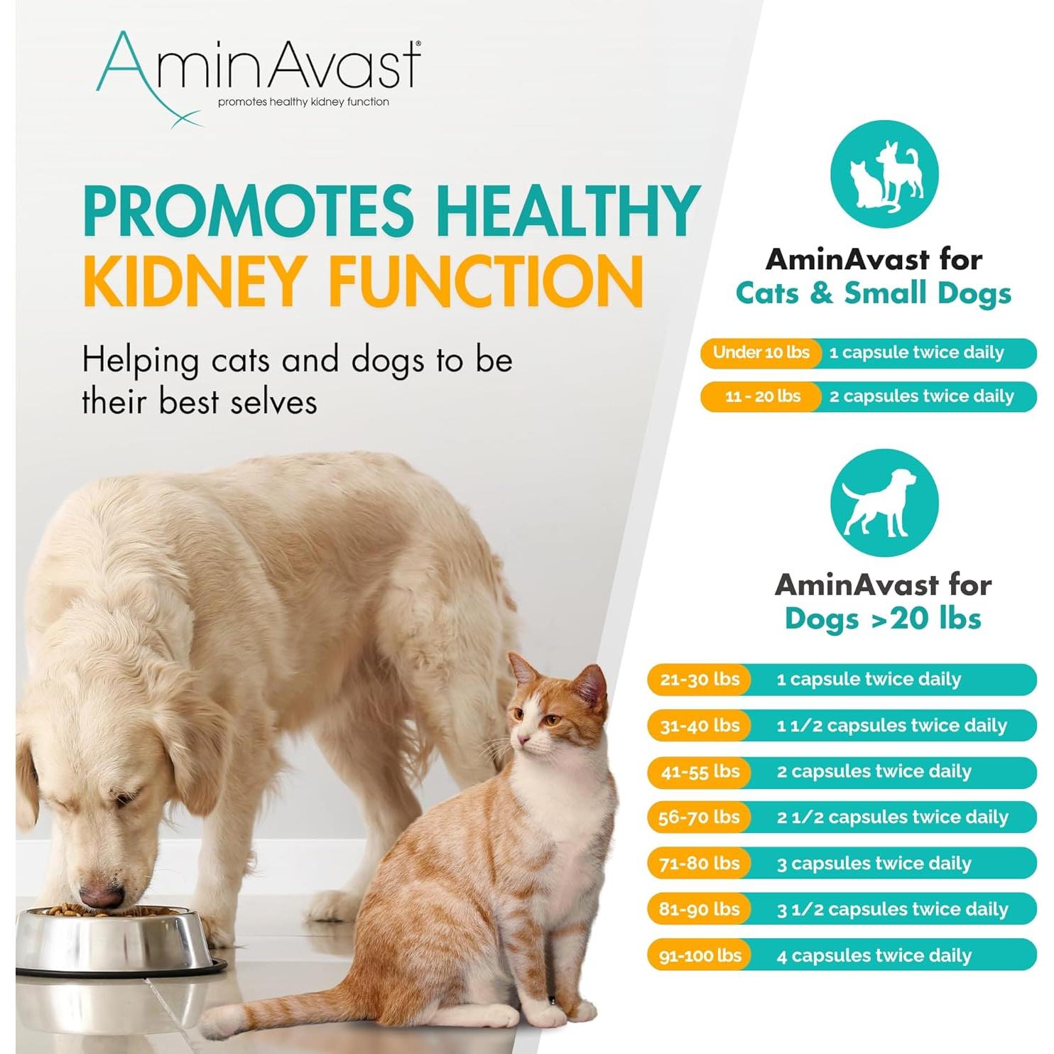 AminAvast Suplemento para Riñones Perros y Gatos 300mg 60 Cápsulas