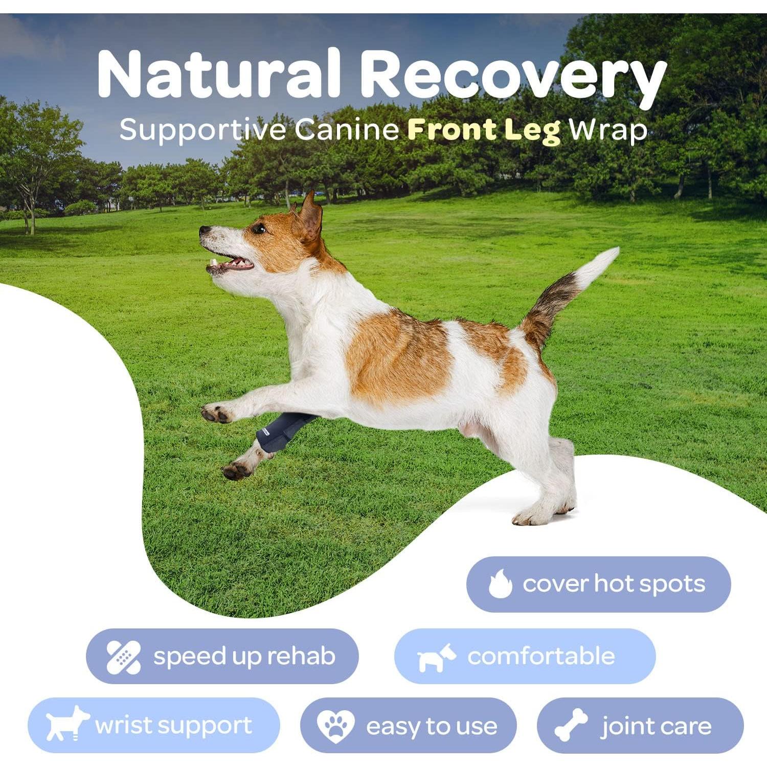 Faja de Compresión para Pata Delantera Labra Grande/Extra Grande