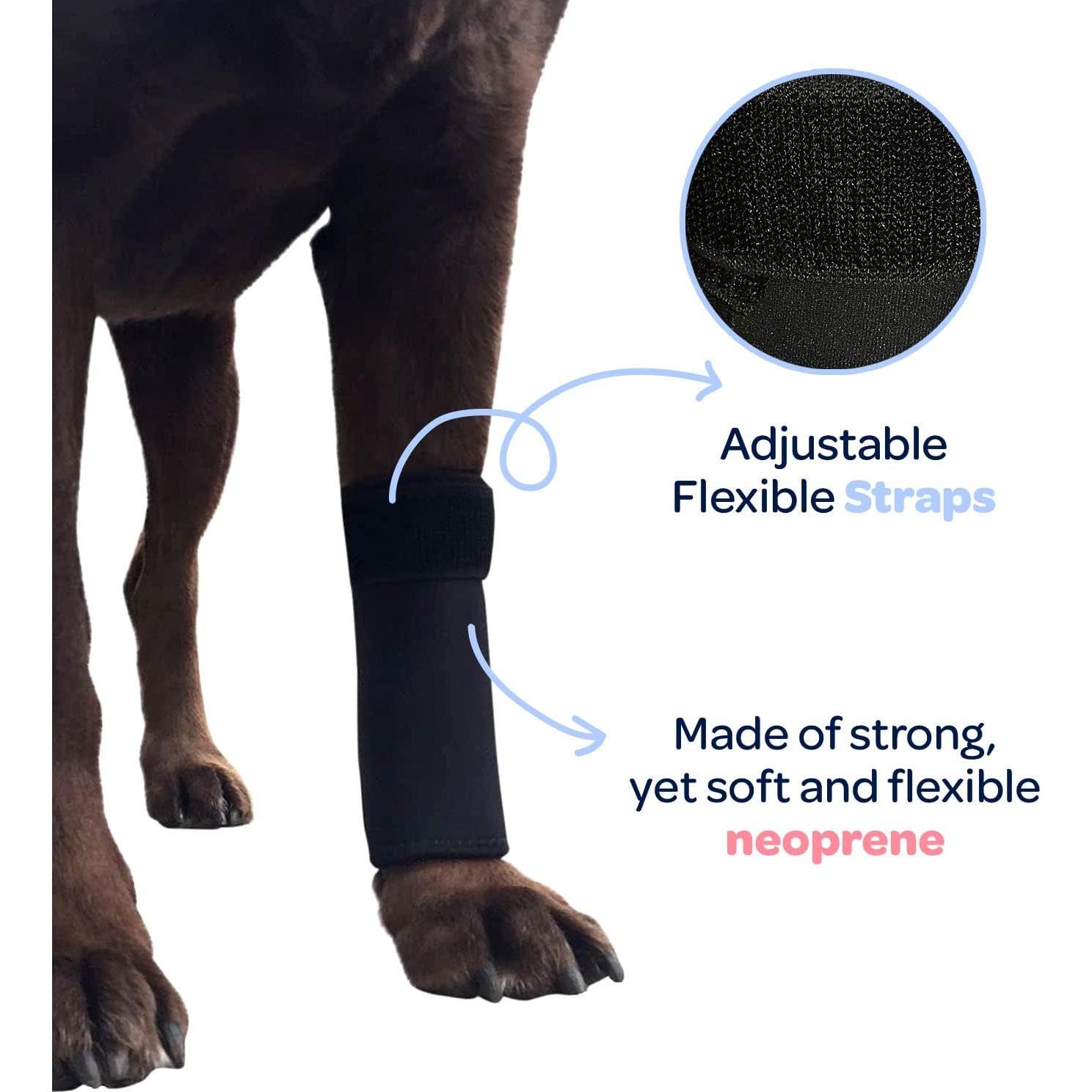 Faja de Compresión para Pata Delantera Labra Grande/Extra Grande