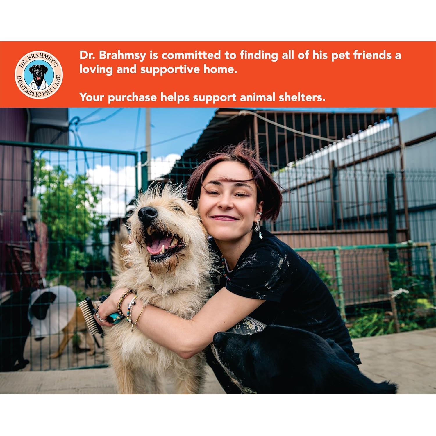 Kit de Primeros Auxilios para Mascotas Dr. Brahmsy 21x14cm