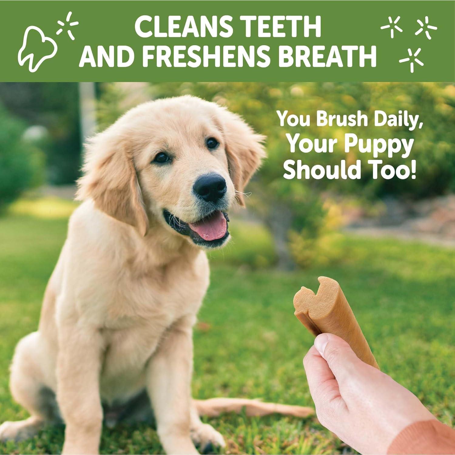 Golosinas Dentales para Cachorros Wellness WHIMZEES 30 Unidades