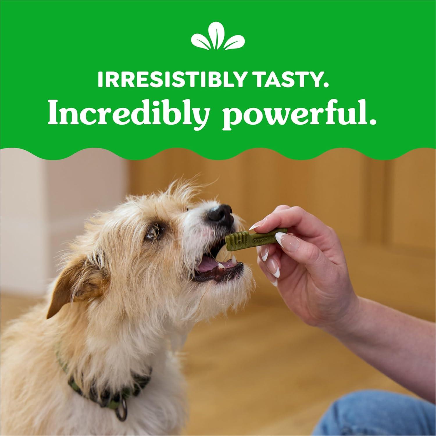 Golosinas Dentales Greenies para Perros Menta 340 g