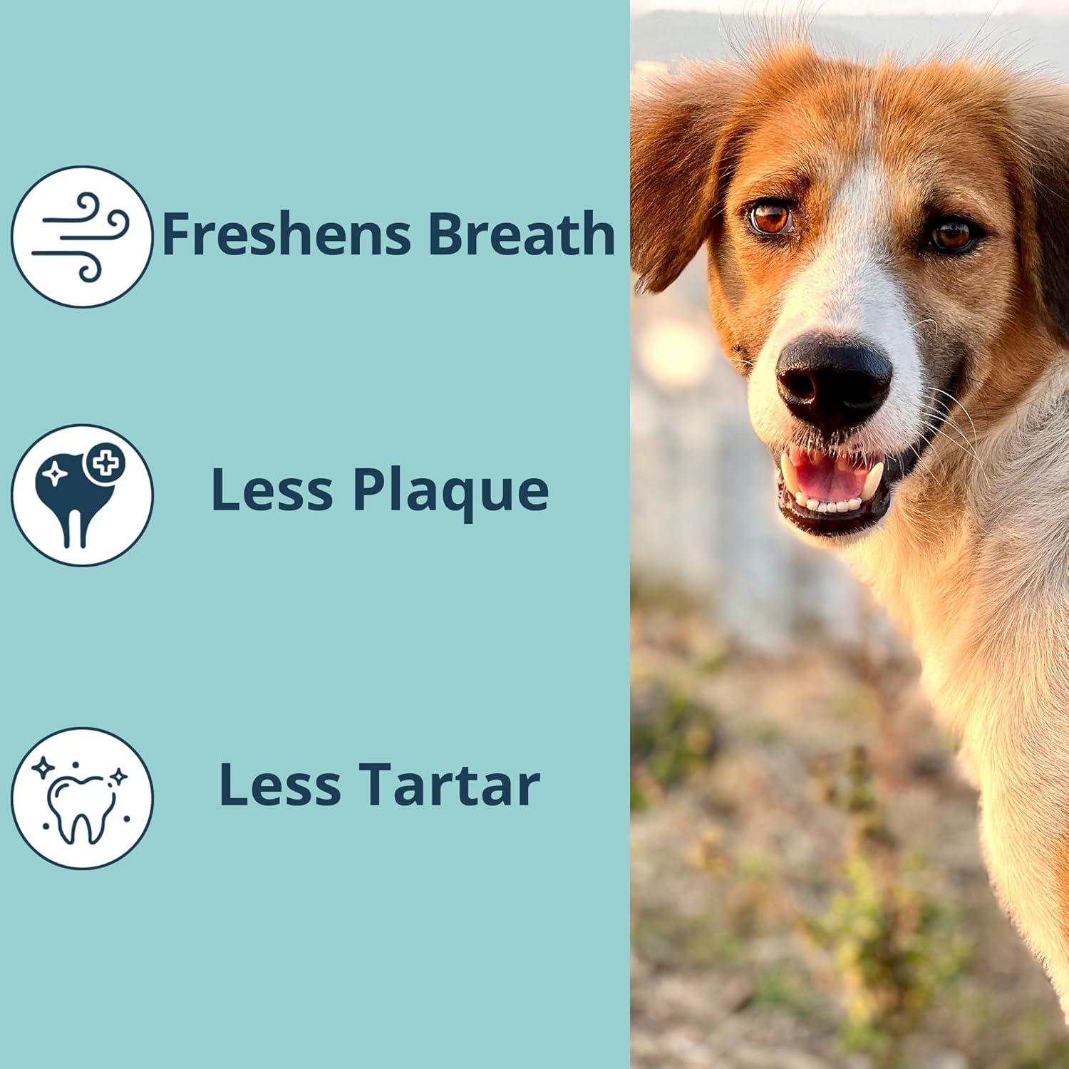 Polvo Dental NOVEHA para Mascotas 100g - Cuidado Oral Veterinario