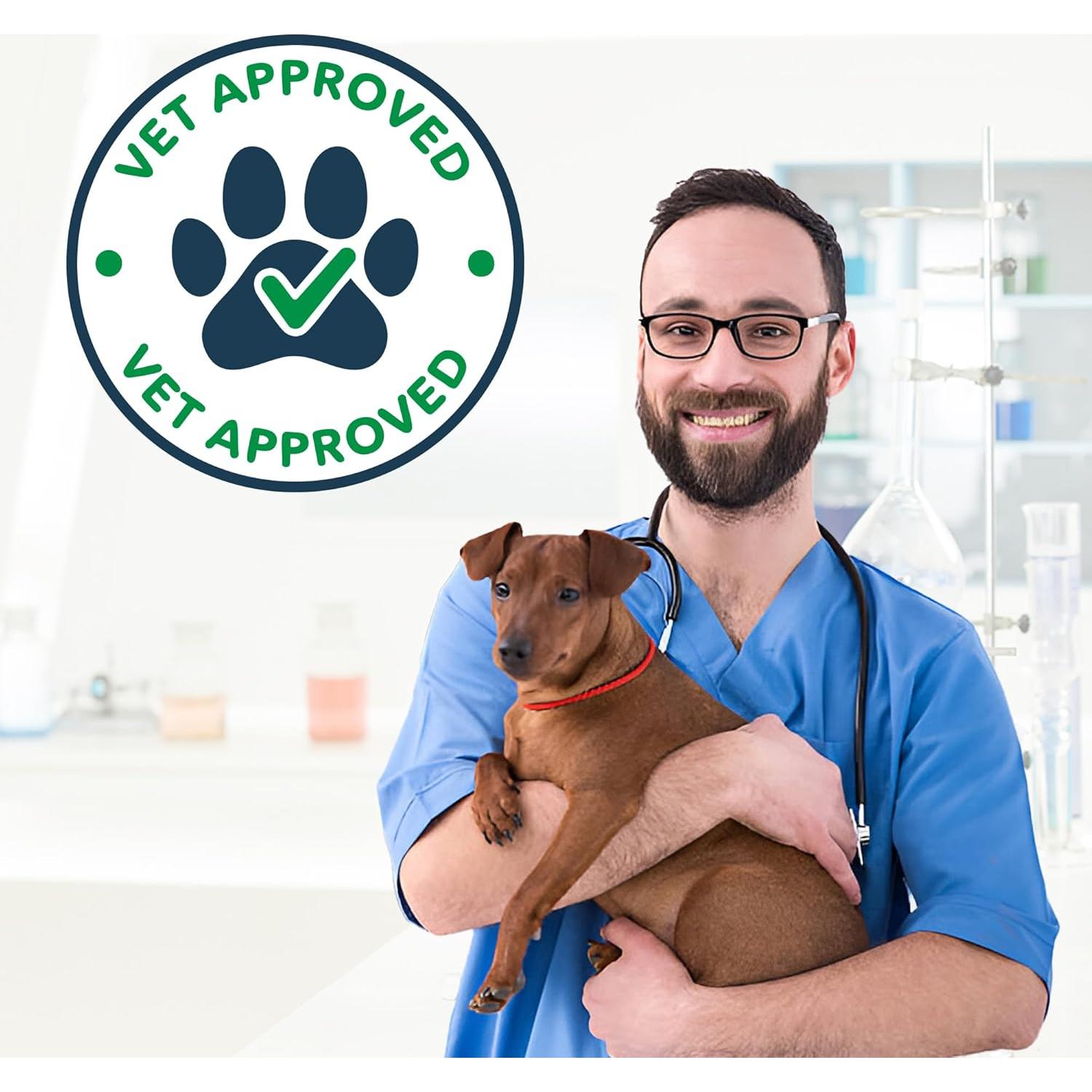 Polvo Dental NOVEHA para Mascotas 100g - Cuidado Oral Veterinario