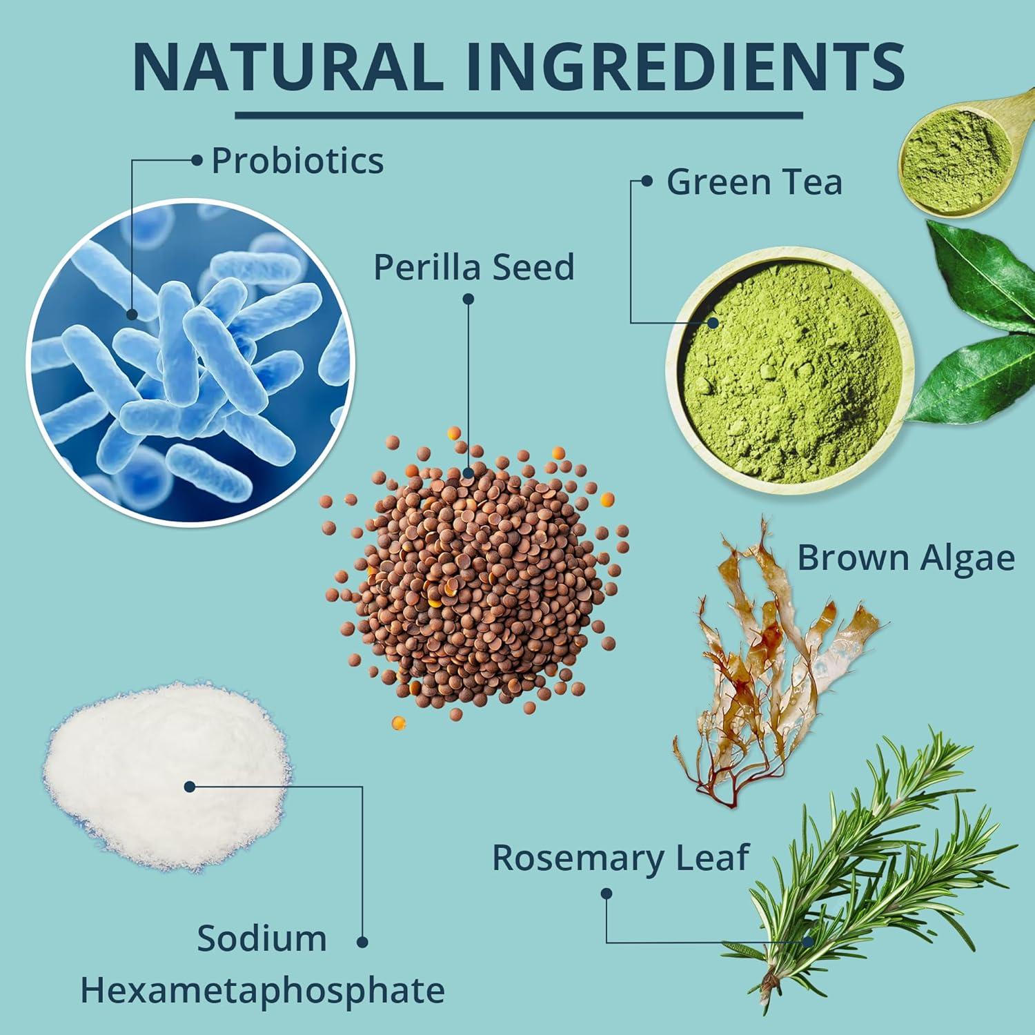 Polvo Dental NOVEHA para Mascotas 100g - Cuidado Oral Veterinario