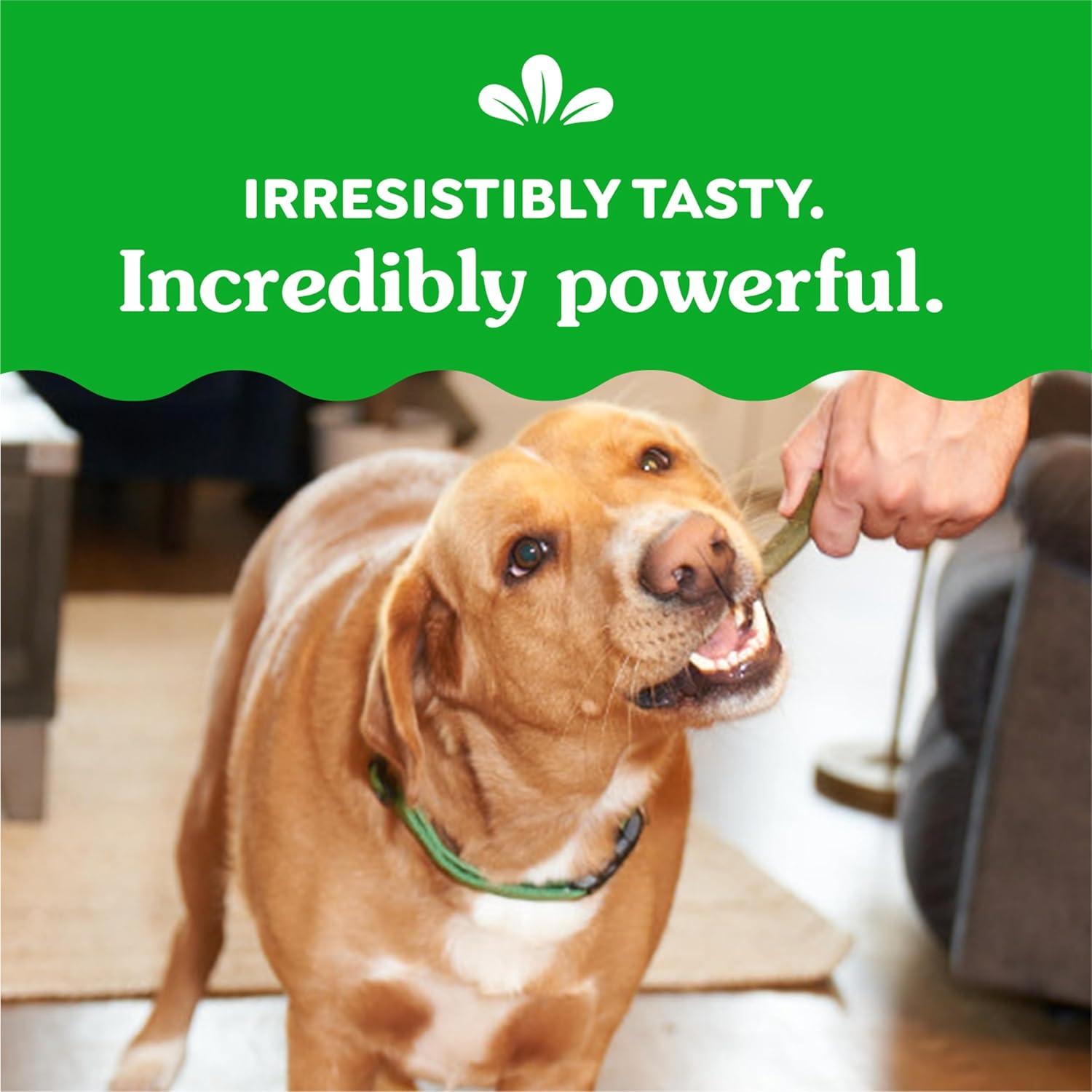 Golosinas Dentales Greenies para Perros 340g Sabor Menta