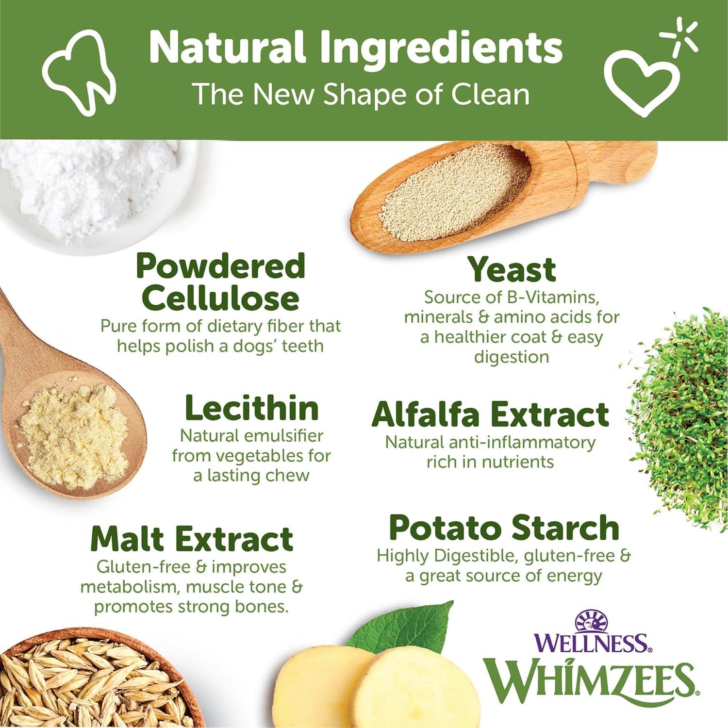 WHIMZEES Brushzees Golosinas Dentales para Perros 48 Unidades