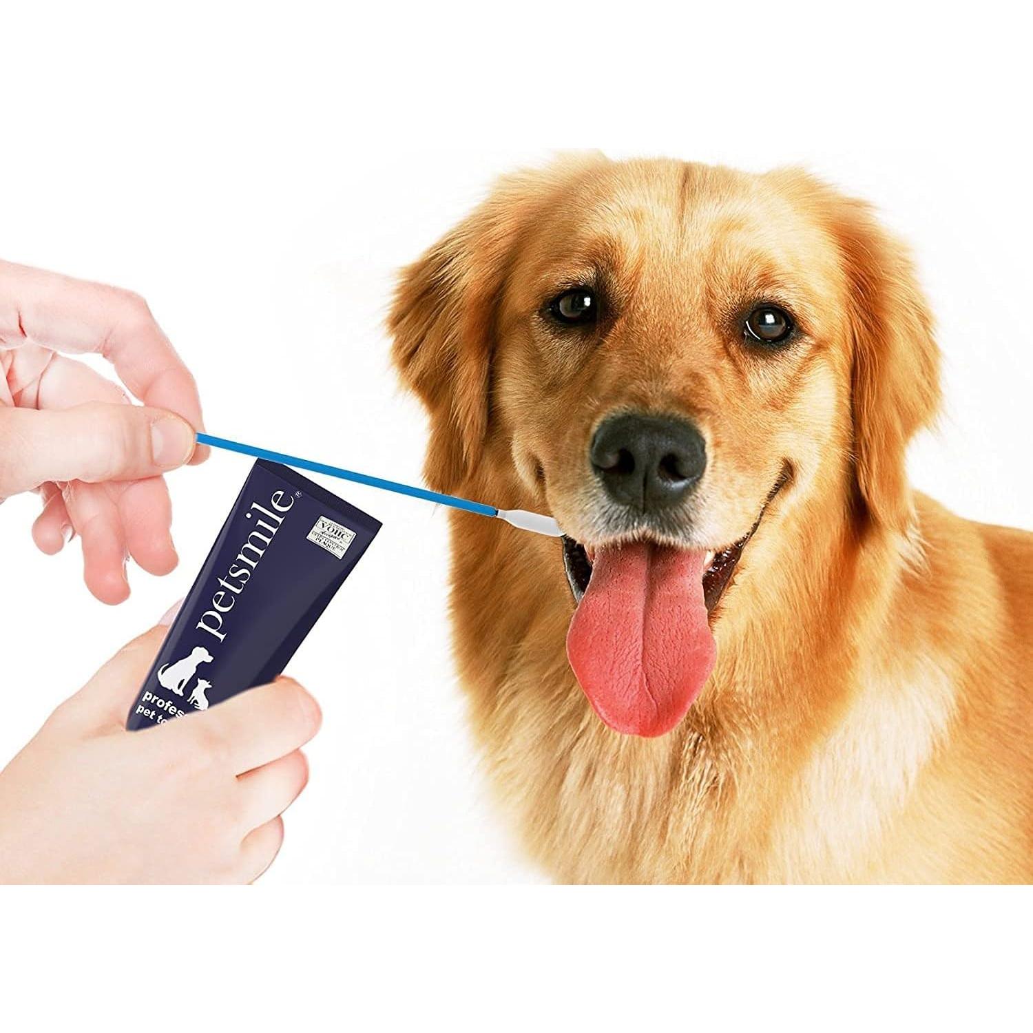 Aplicadores de Pasta de Dientes Petsmile para Mascotas - 50 Unidades