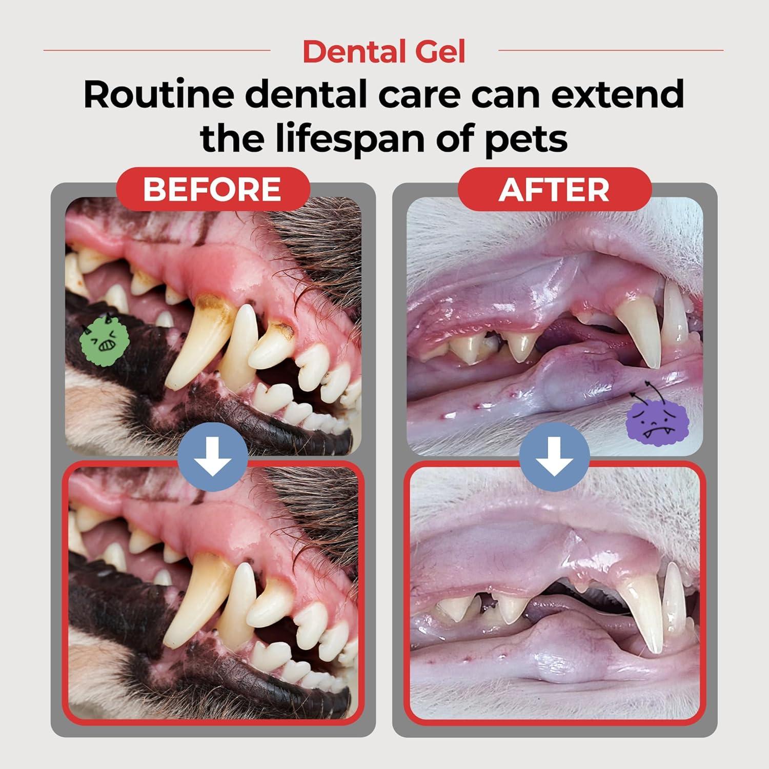 Gel Dental JAYU PET para Perros y Gatos 80 g - Cuidado Oral