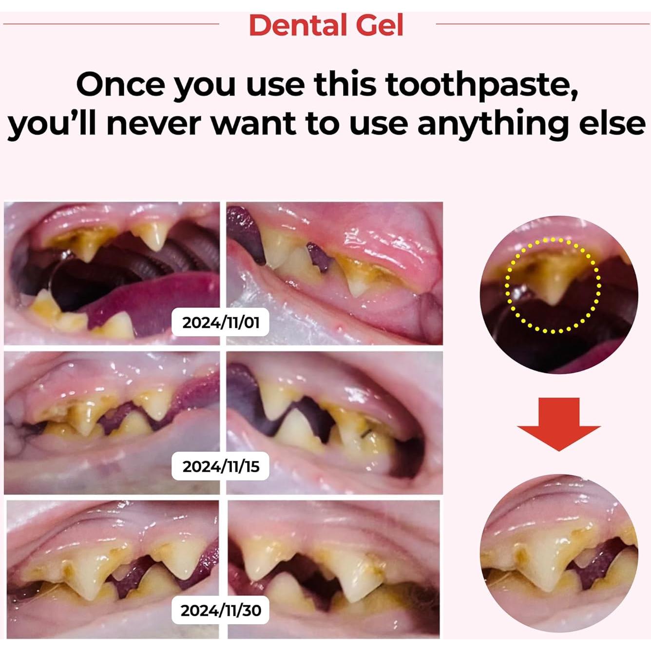 Gel Dental JAYU PET para Perros y Gatos 80 g - Cuidado Oral